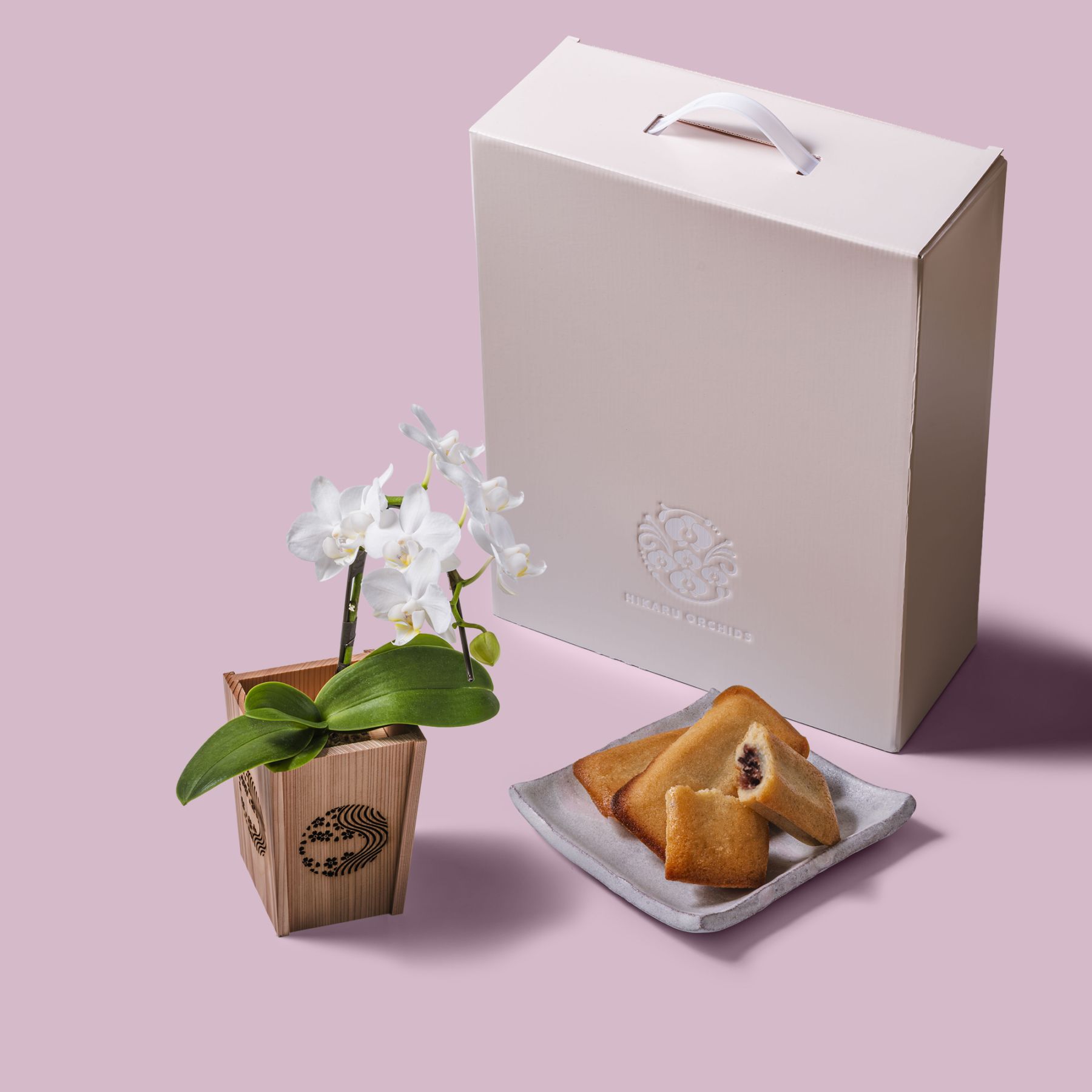 白 小輪 胡蝶蘭 / マル西製菓ぺんぎん一番堂 焼き菓子セット / NENE SWEETS 組子細工風 桜川（さくらがわ）[002701]