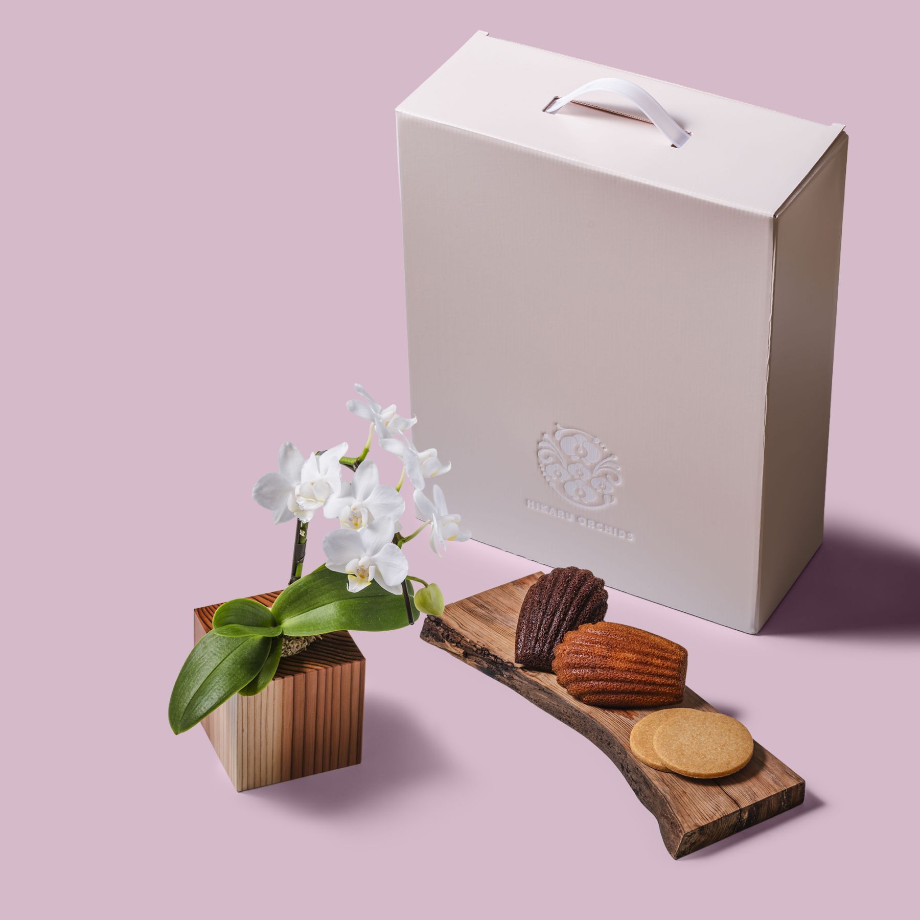白 小輪 胡蝶蘭 / Gallery SIGMA. 焼き菓子セット / ORCHID CUBE SWEETS（オーキッドキューブスイーツ）[004701]
