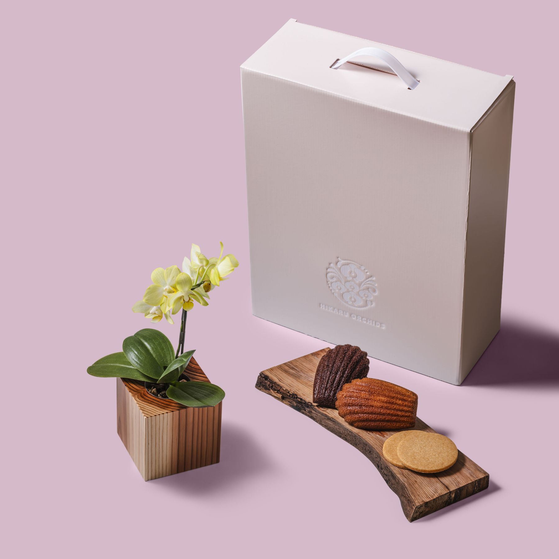 黄 小輪 胡蝶蘭 / Gallery SIGMA. 焼き菓子セット / ORCHID CUBE SWEETS（オーキッドキューブスイーツ）[004702]