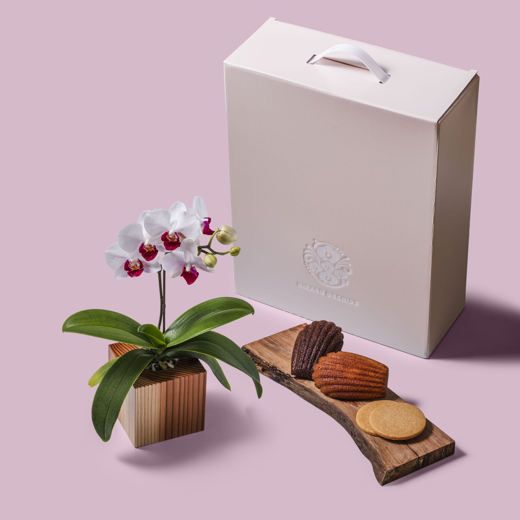 ORCHID CUBE SWEETS｜ヒカル・オーキッド