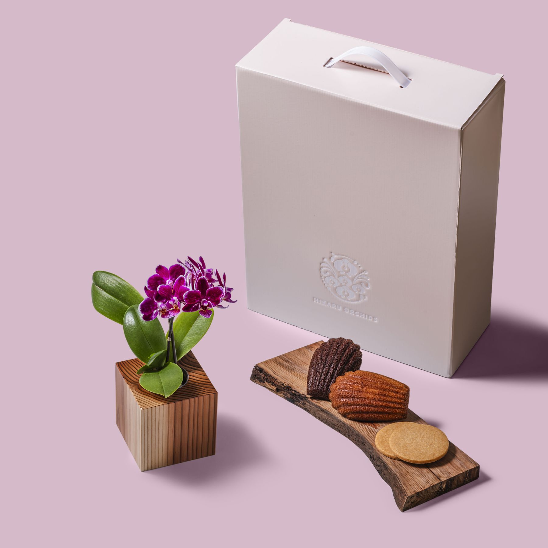 紫 小輪 胡蝶蘭 / Gallery SIGMA. 焼き菓子セット / ORCHID CUBE SWEETS（オーキッドキューブスイーツ）[004705]