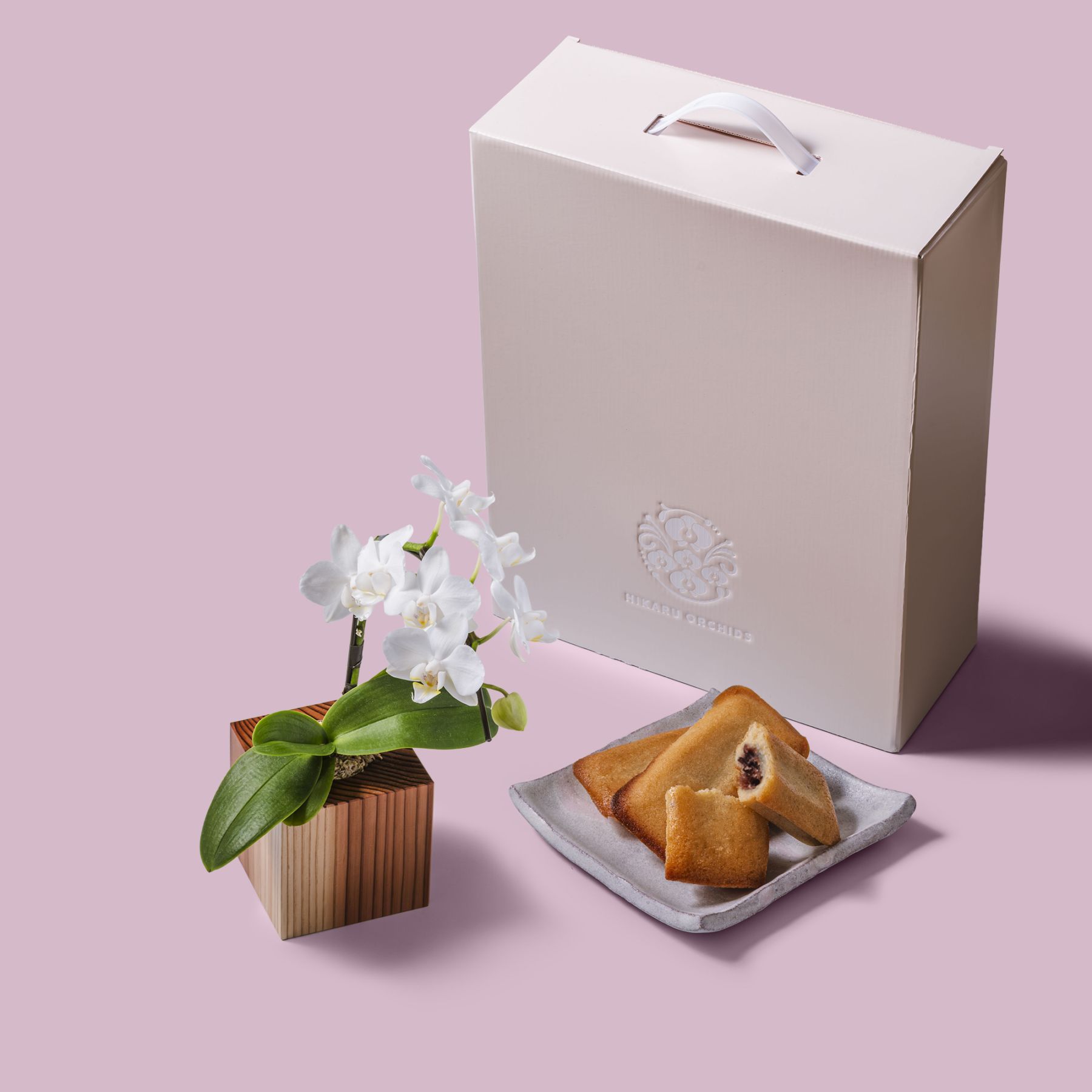 白 小輪 胡蝶蘭 / マル西製菓ぺんぎん一番堂 焼き菓子セット / ORCHID CUBE SWEETS（オーキッドキューブスイーツ）[004711]