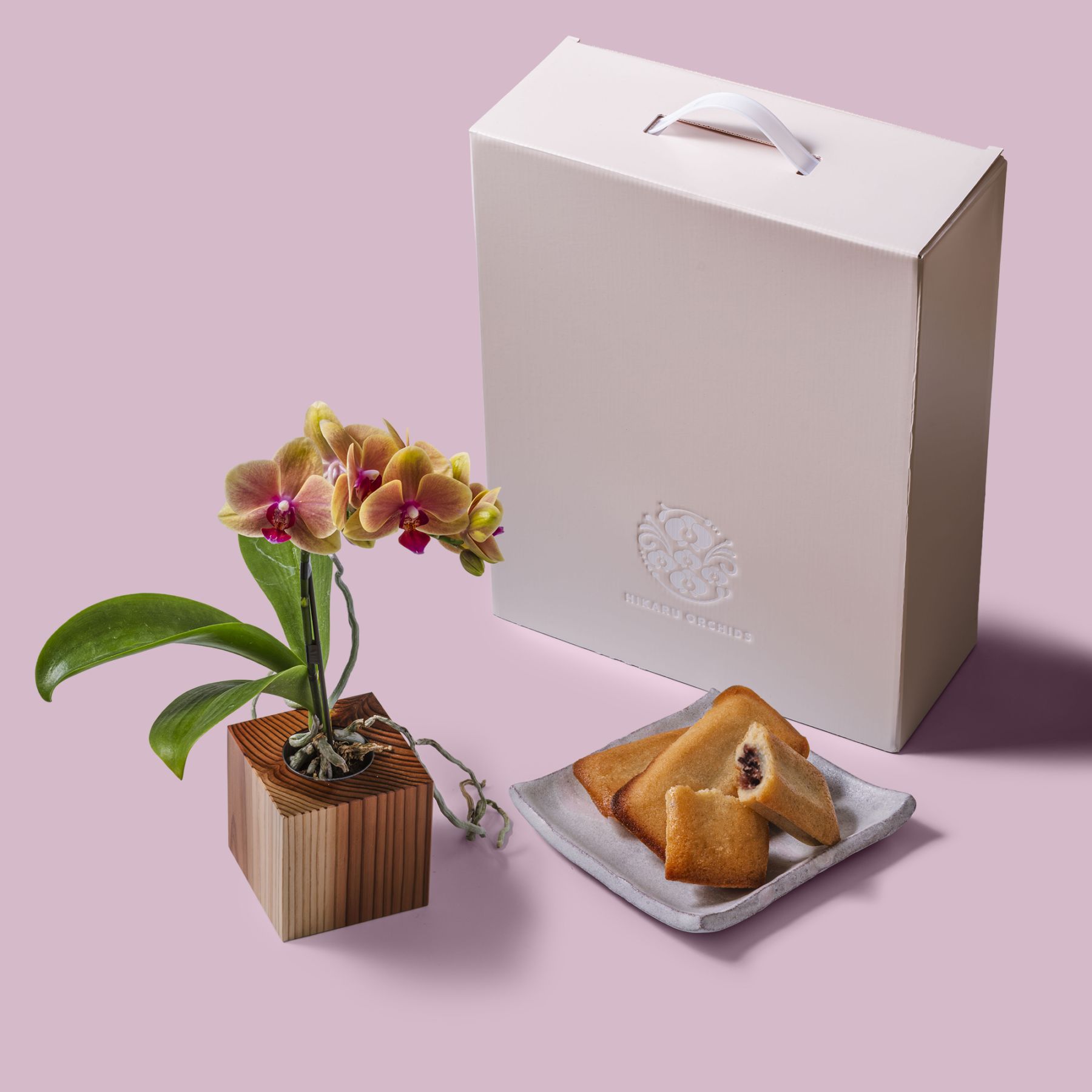 オレンジ 小輪 胡蝶蘭 / マル西製菓ぺんぎん一番堂 焼き菓子セット / ORCHID CUBE SWEETS（オーキッドキューブスイーツ）[004713]