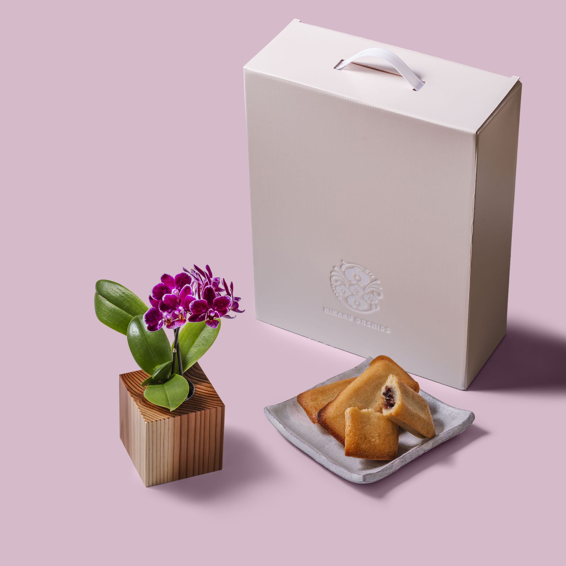 紫 小輪 胡蝶蘭 /  マル西製菓ぺんぎん一番堂 焼き菓子セット / ORCHID CUBE SWEETS（オーキッドキューブスイーツ）[004715]