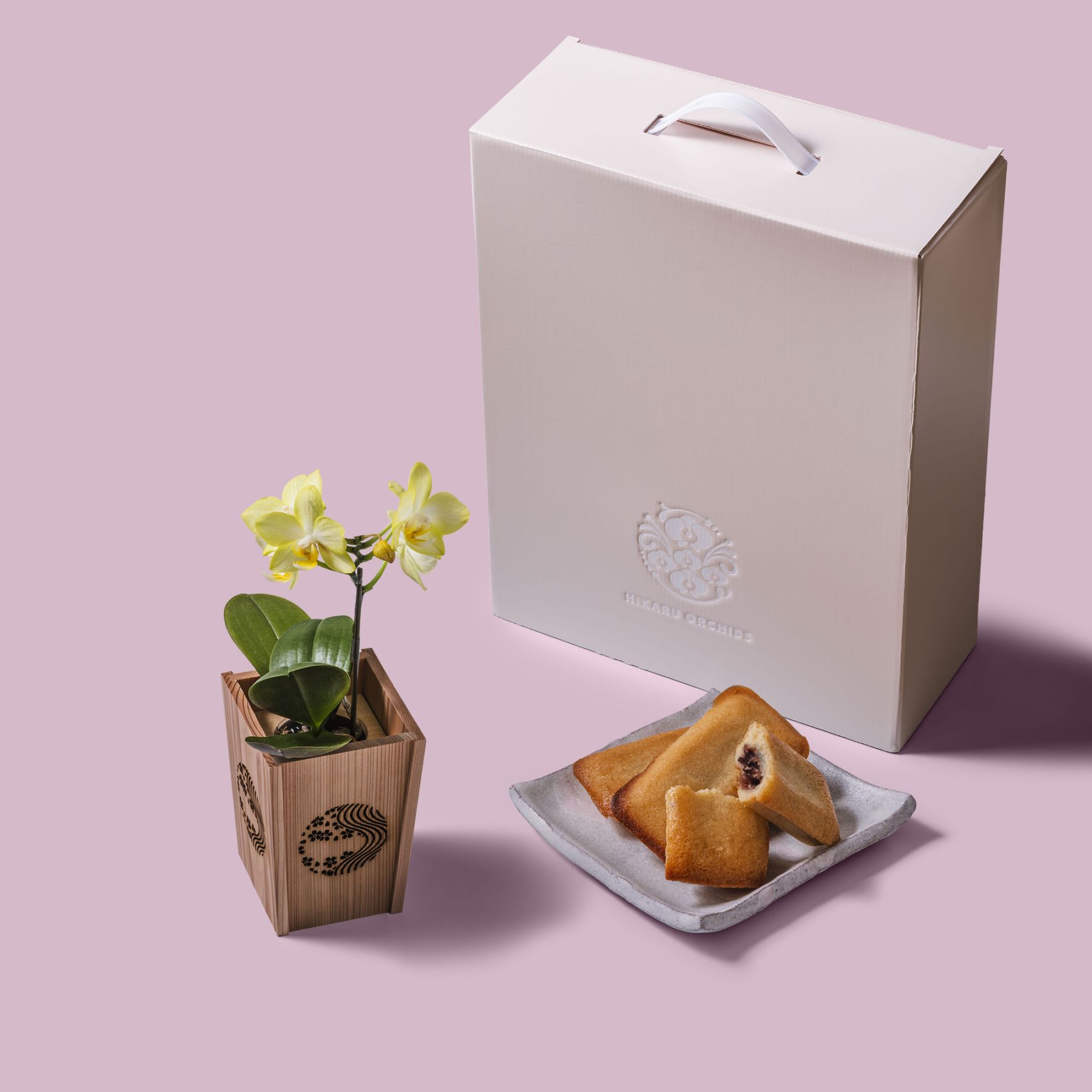 黄 小輪 胡蝶蘭 / マル西製菓ぺんぎん一番堂 焼き菓子セット / NENE 組子細工風 桜川（さくらがわ）[002702]