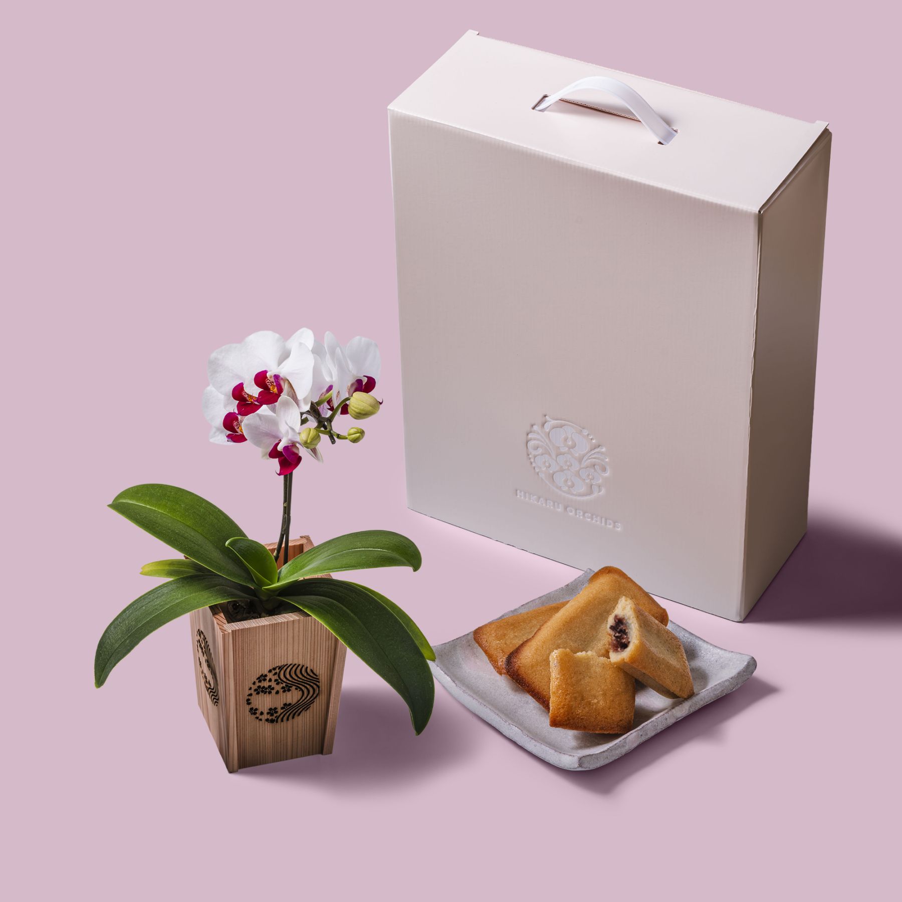 白赤 小輪 胡蝶蘭 / マル西製菓ぺんぎん一番堂 焼き菓子セット / NENE 組子細工風 桜川（さくらがわ）[002704]