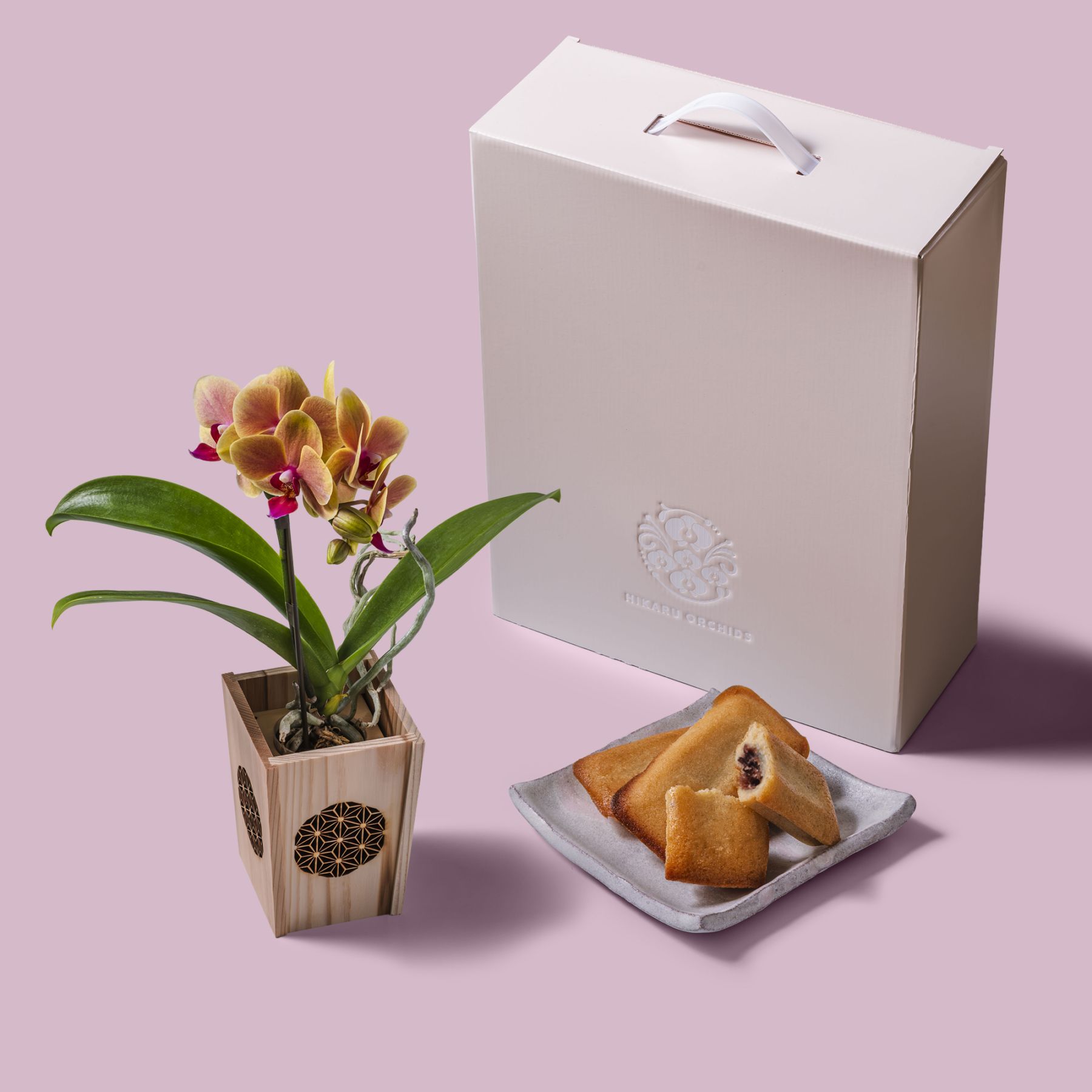 オレンジ 小輪 胡蝶蘭 / マル西製菓ぺんぎん一番堂 焼き菓子セット / NENE 組子細工風 麻の葉（あさのは）[002713]