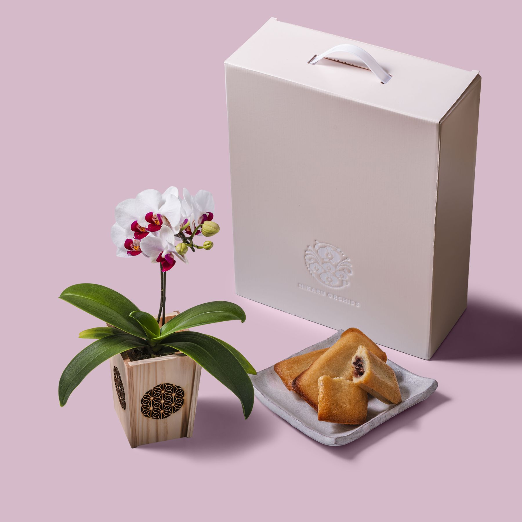 白赤 小輪 胡蝶蘭 / マル西製菓ぺんぎん一番堂 焼き菓子セット / NENE 組子細工風 麻の葉（あさのは）[002714]