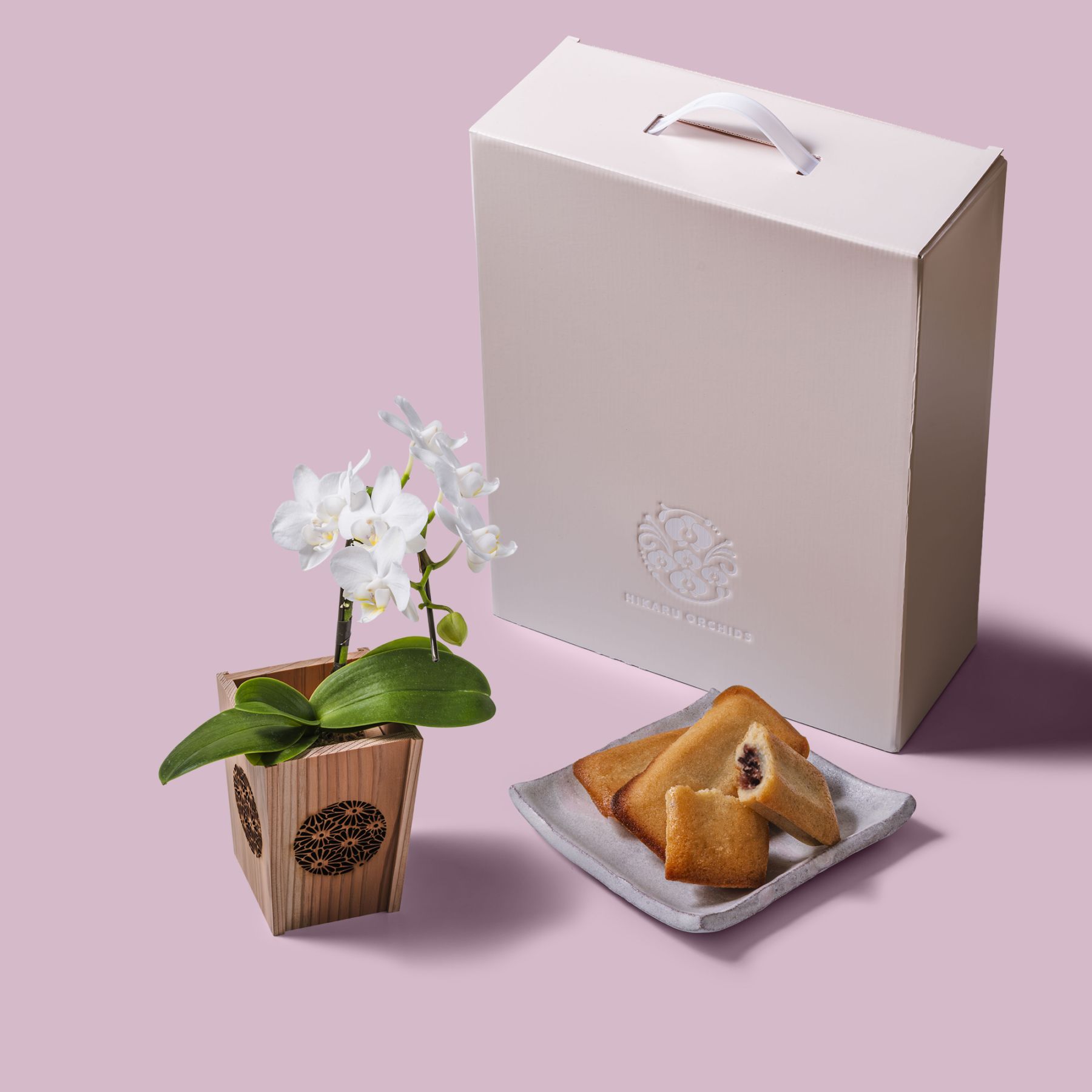 白 小輪 胡蝶蘭 / マル西製菓ぺんぎん一番堂 焼き菓子セット / NENE 組子細工風 菊（きく）[002721]