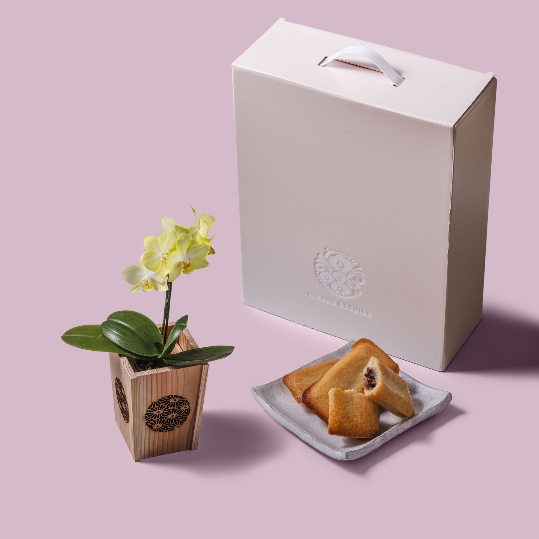 黄 小輪 胡蝶蘭 / マル西製菓ぺんぎん一番堂 焼き菓子セット / NENE 組子細工風 菊（きく）[002722]