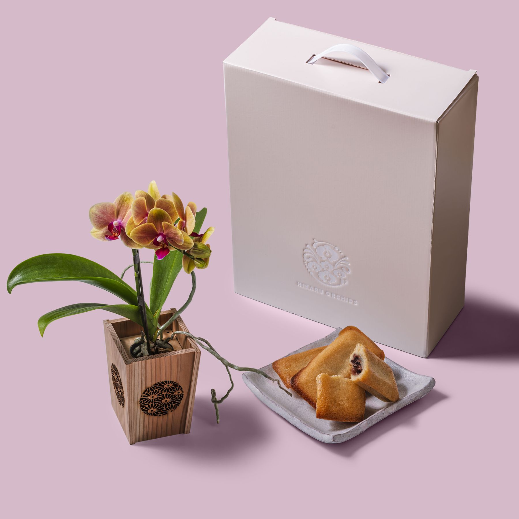 オレンジ 小輪 胡蝶蘭 / マル西製菓ぺんぎん一番堂 焼き菓子セット / NENE 組子細工風 菊（きく）[002723]