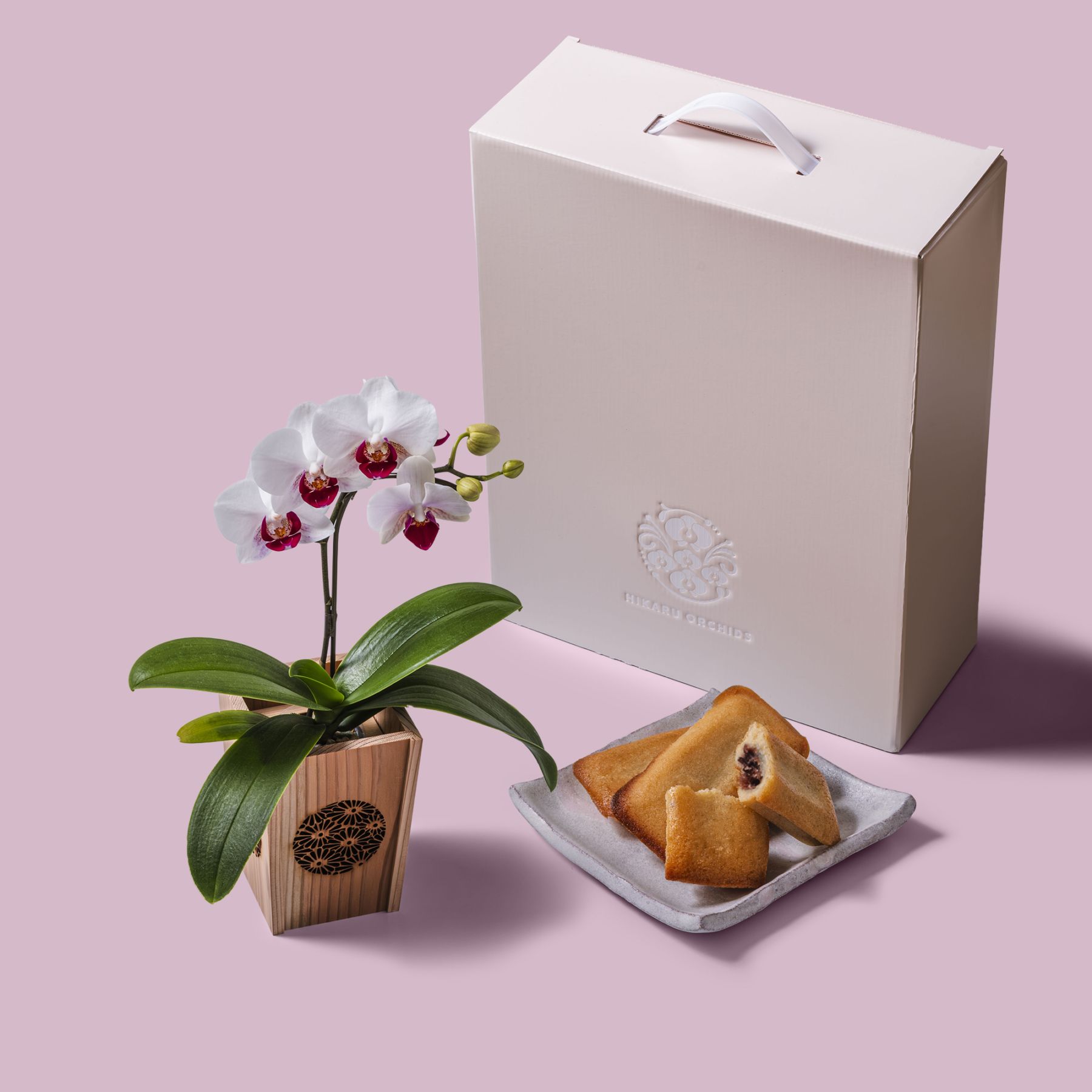 白赤 小輪 胡蝶蘭 / マル西製菓ぺんぎん一番堂 焼き菓子セット / NENE 組子細工風 菊（きく）[002724]