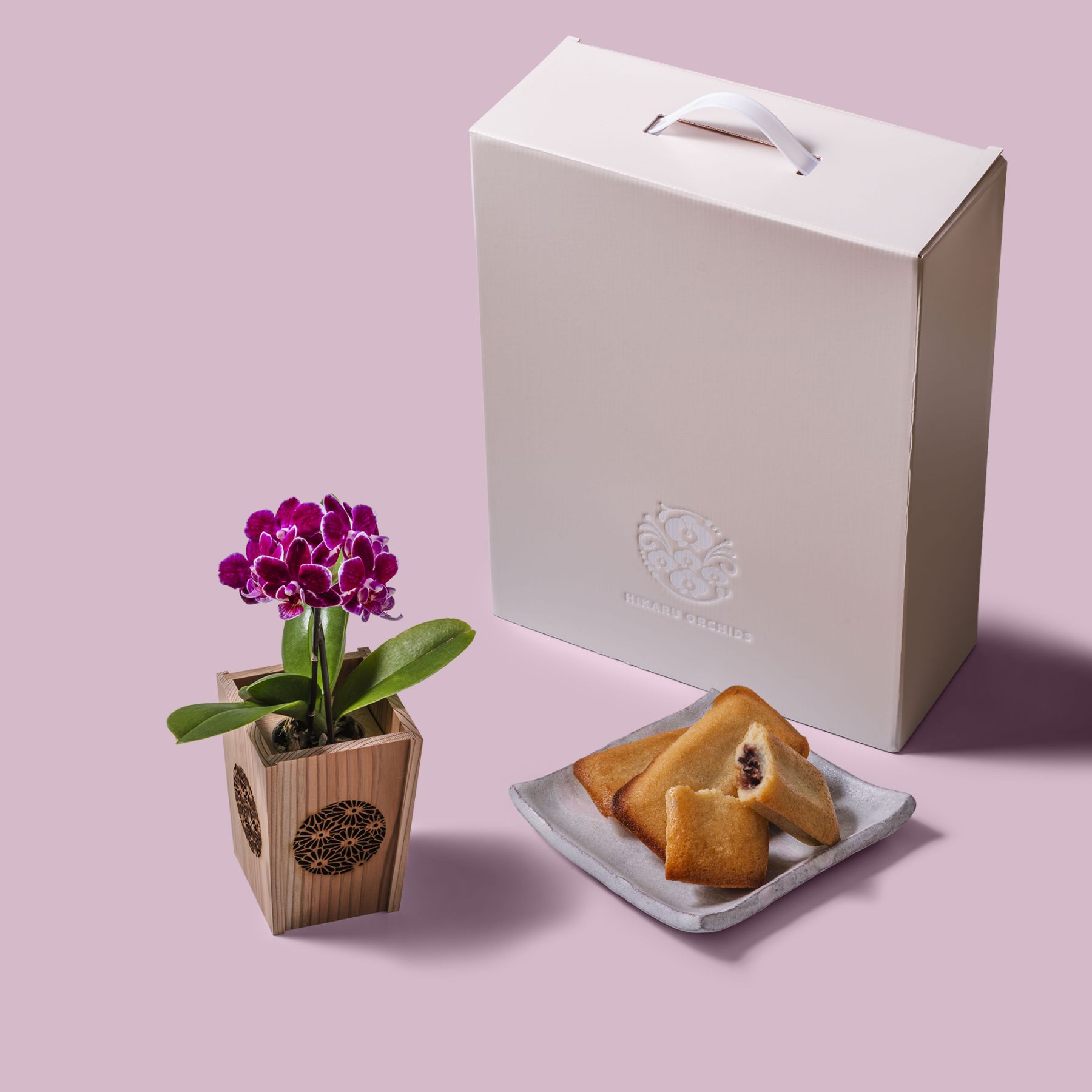 紫 小輪 胡蝶蘭 / マル西製菓ぺんぎん一番堂 焼き菓子セット / NENE 組子細工風 菊（きく）[002725]
