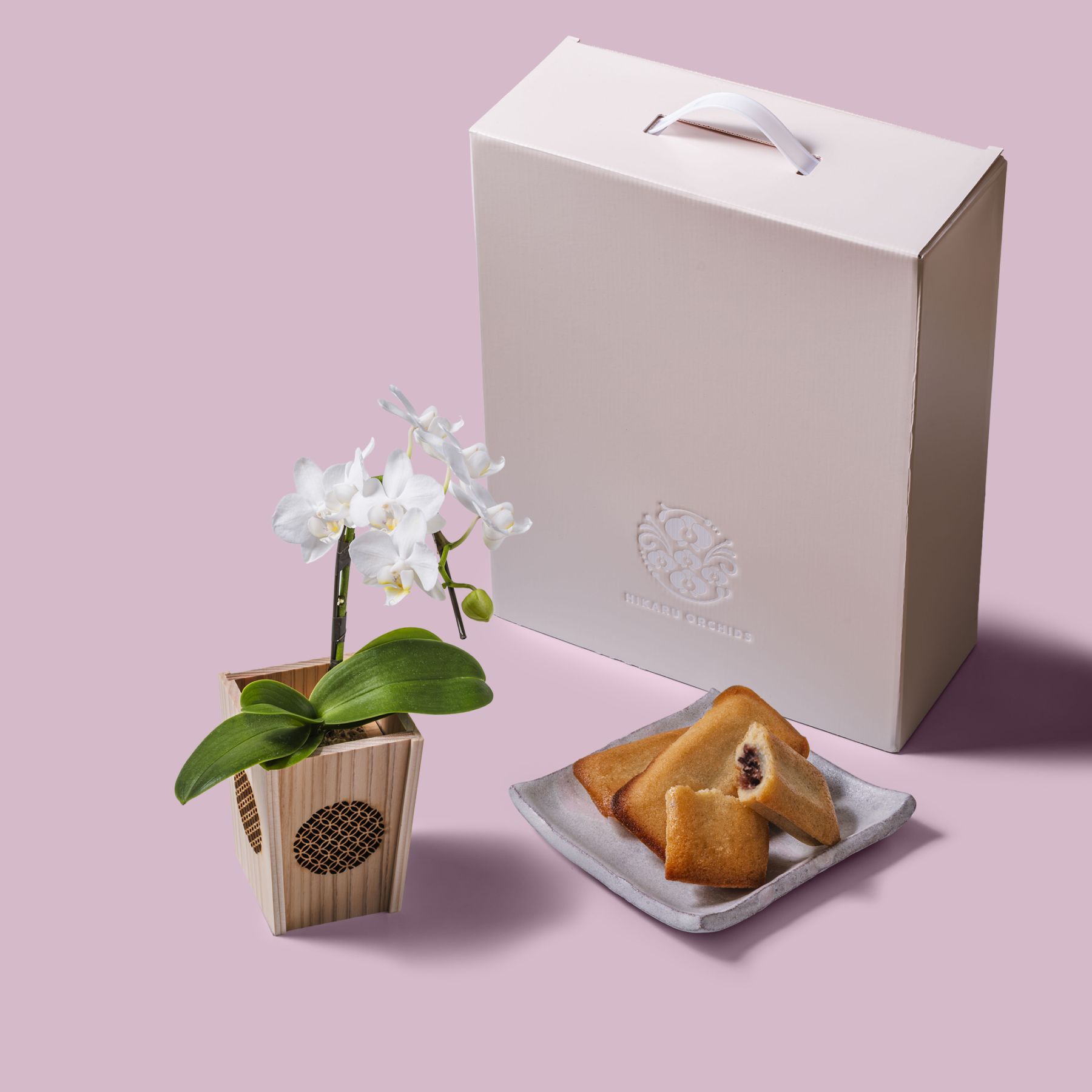白 小輪 胡蝶蘭 / マル西製菓ぺんぎん一番堂 焼き菓子セット / NENE 組子細工風 七宝（しっぽう）[002731]