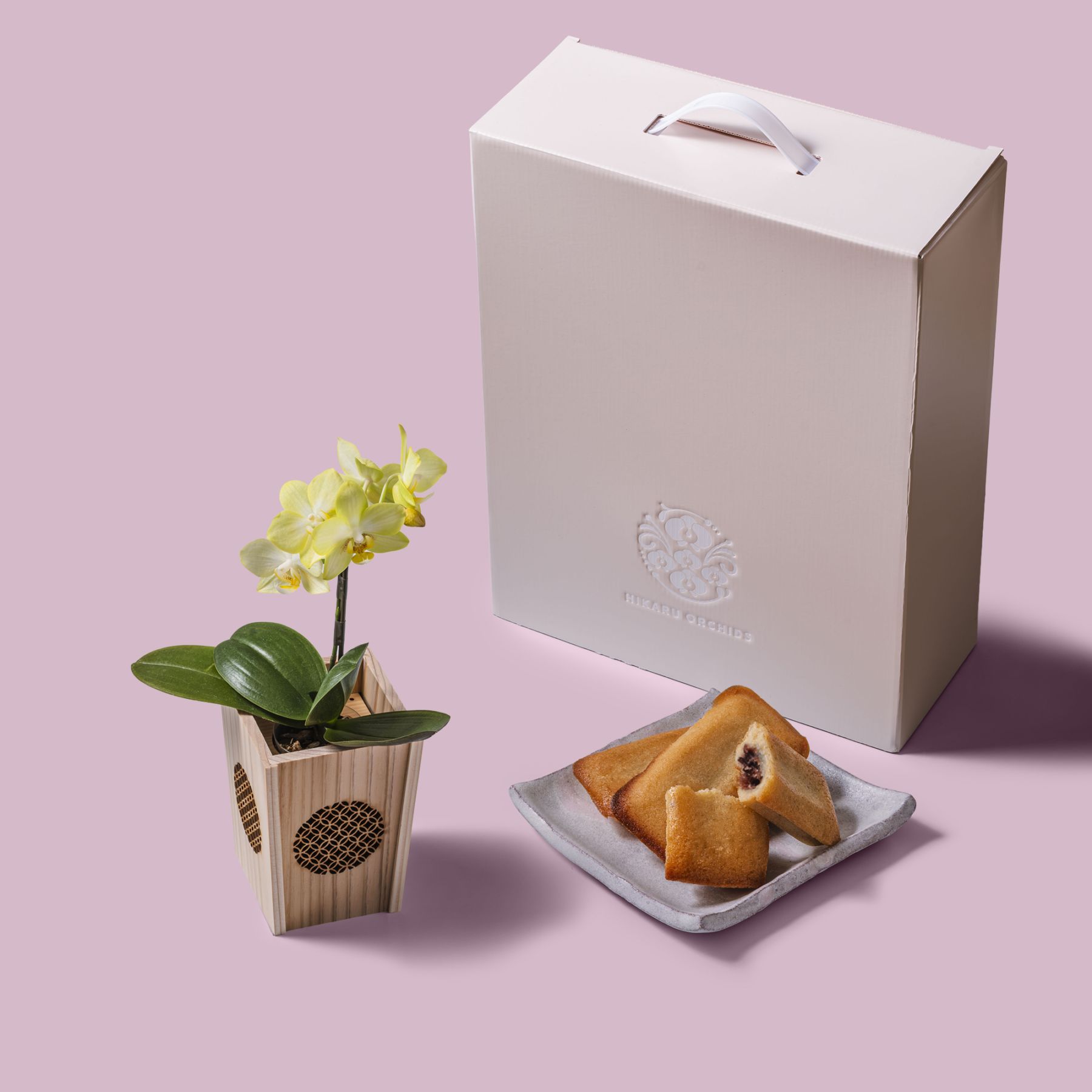 黄 小輪 胡蝶蘭 / マル西製菓ぺんぎん一番堂 焼き菓子セット / NENE 組子細工風 七宝（しっぽう）[002732]