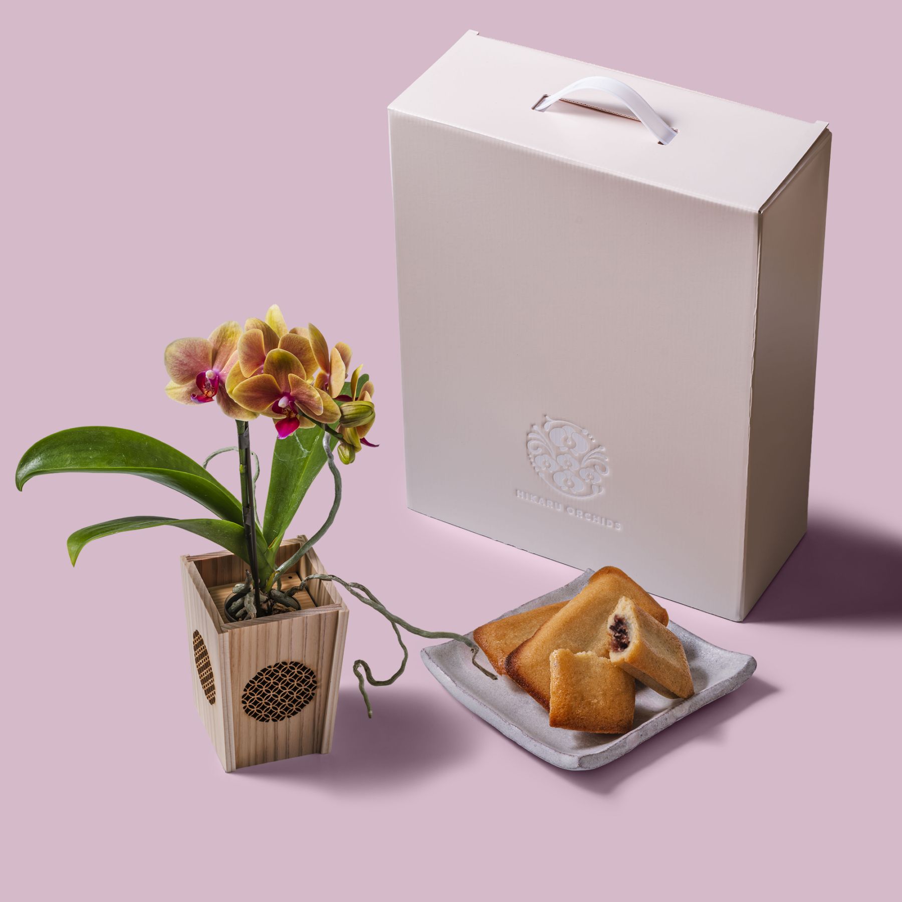 オレンジ 小輪 胡蝶蘭 / マル西製菓ぺんぎん一番堂 焼き菓子セット / NENE 組子細工風 七宝（しっぽう）[002733]