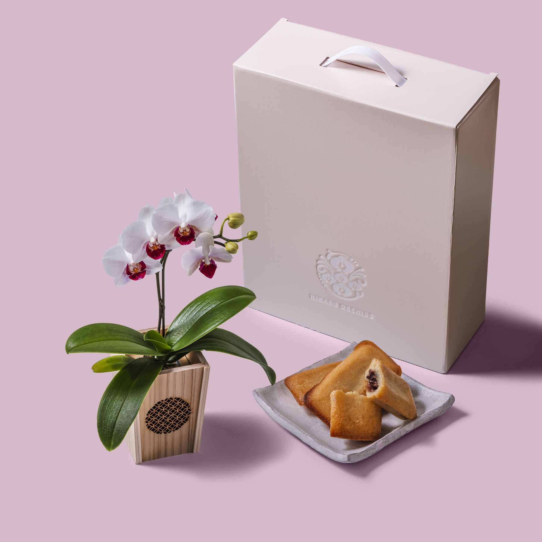 白赤 小輪 胡蝶蘭 / マル西製菓ぺんぎん一番堂 焼き菓子セット / NENE 組子細工風 七宝（しっぽう）[002734]