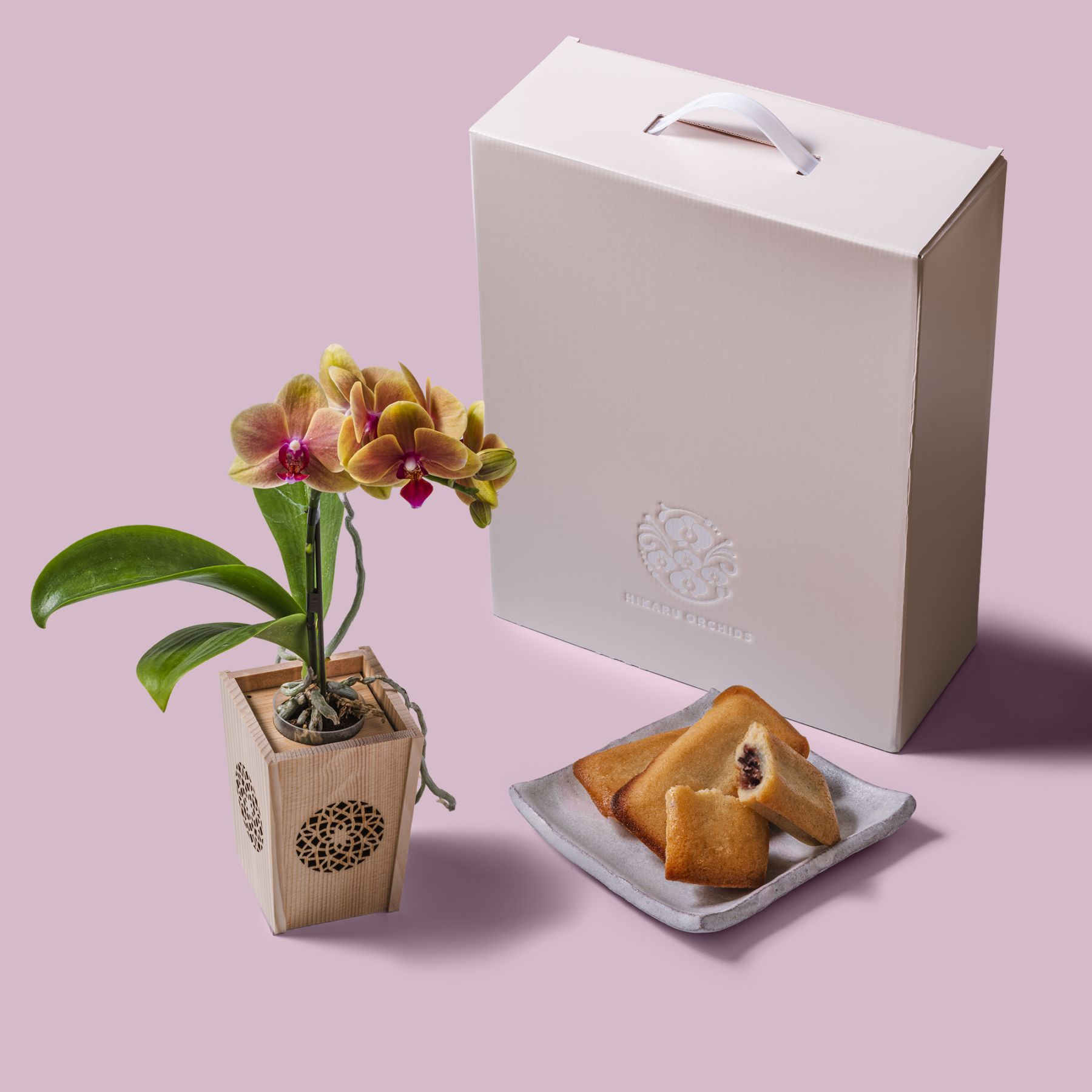 オレンジ 小輪 胡蝶蘭 / マル西製菓ぺんぎん一番堂 焼き菓子セット / NENE 組子細工風 変わり七宝（かわりしっぽう）[002743]