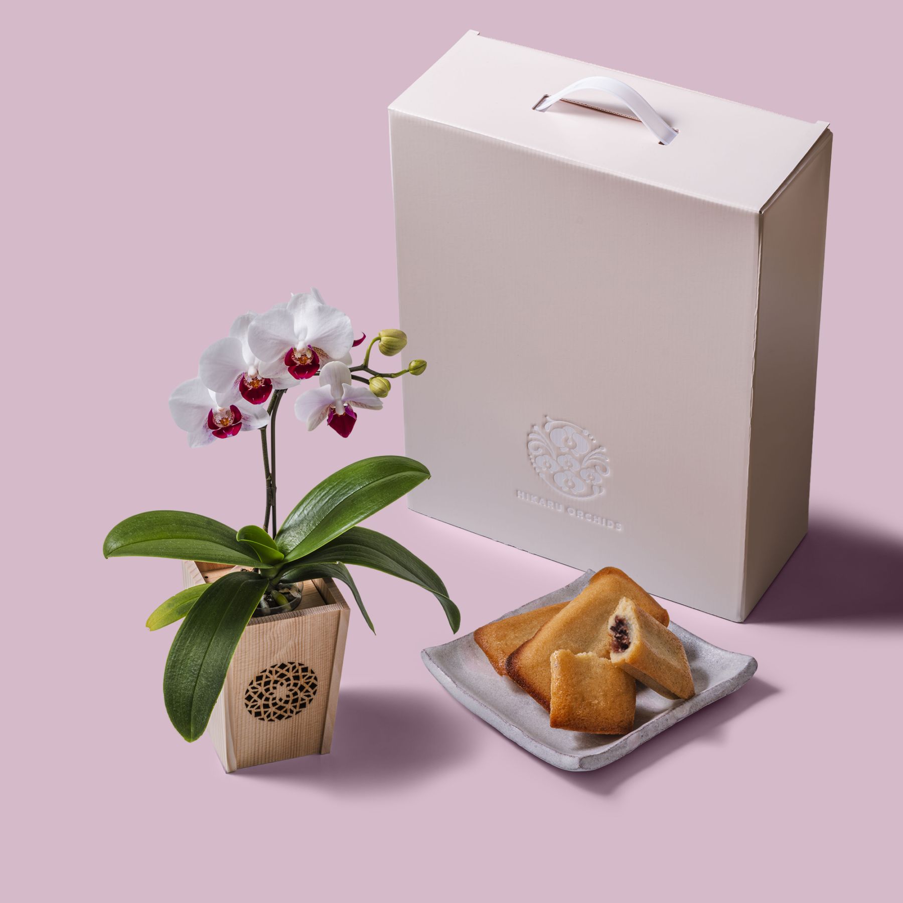 白赤 小輪 胡蝶蘭 / マル西製菓ぺんぎん一番堂 焼き菓子セット / NENE 組子細工風 変わり七宝（かわりしっぽう）[002744]