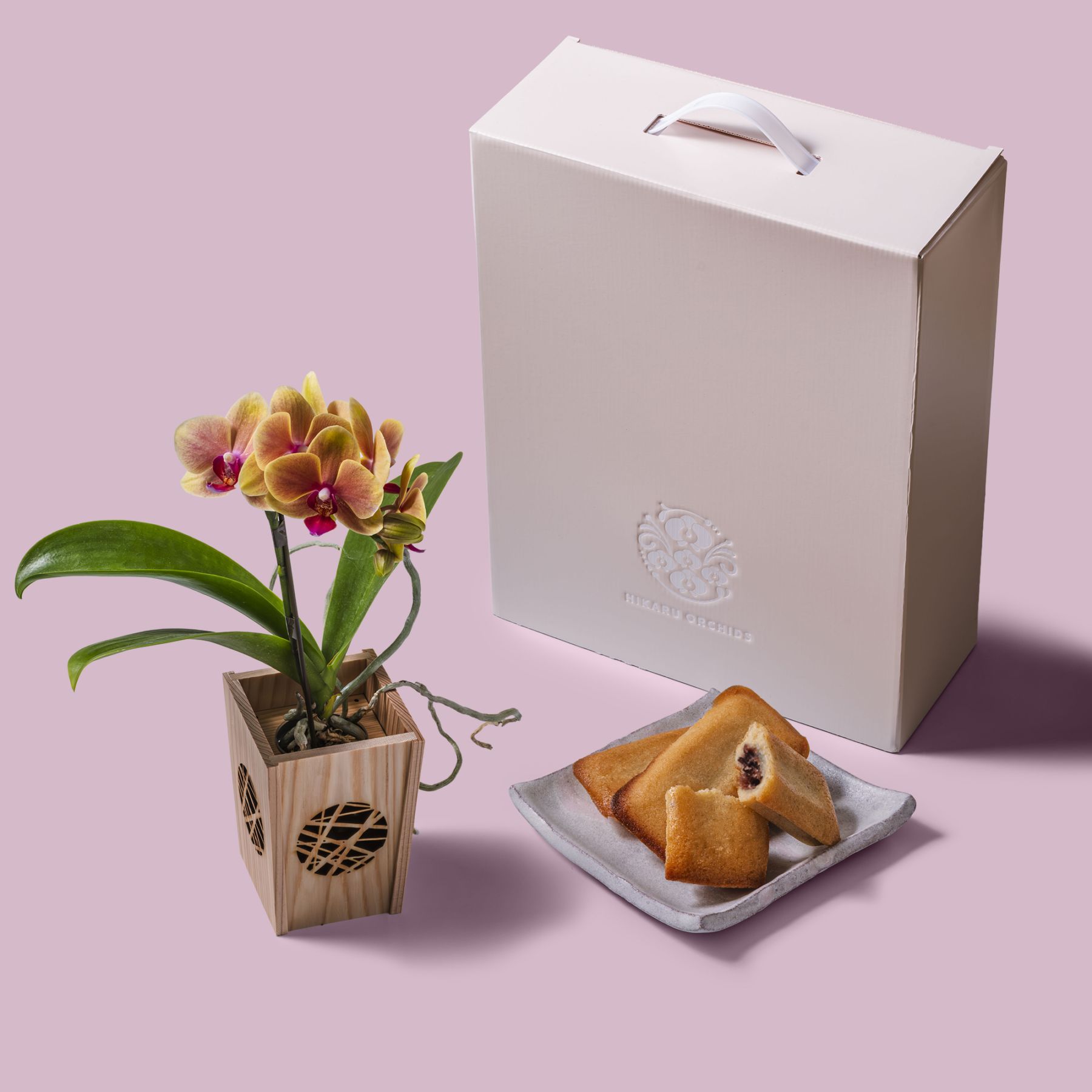 オレンジ 小輪 胡蝶蘭 / マル西製菓ぺんぎん一番堂 焼き菓子セット / NENE 組子細工風 氷裂（ひょうれつ）[002753]
