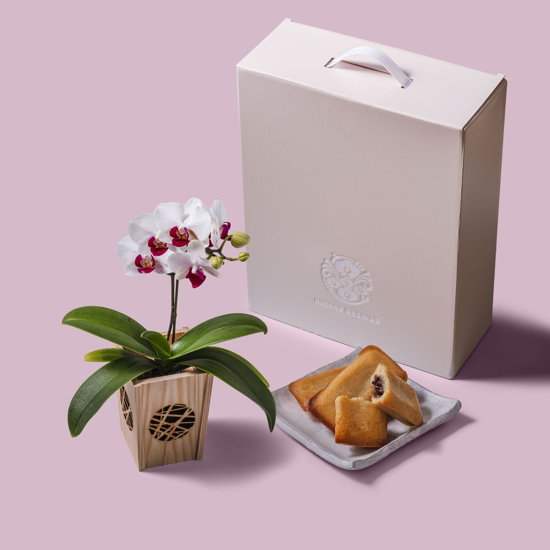 白赤 小輪 胡蝶蘭 / マル西製菓ぺんぎん一番堂 焼き菓子セット / NENE 組子細工風 氷裂（ひょうれつ）[002754]