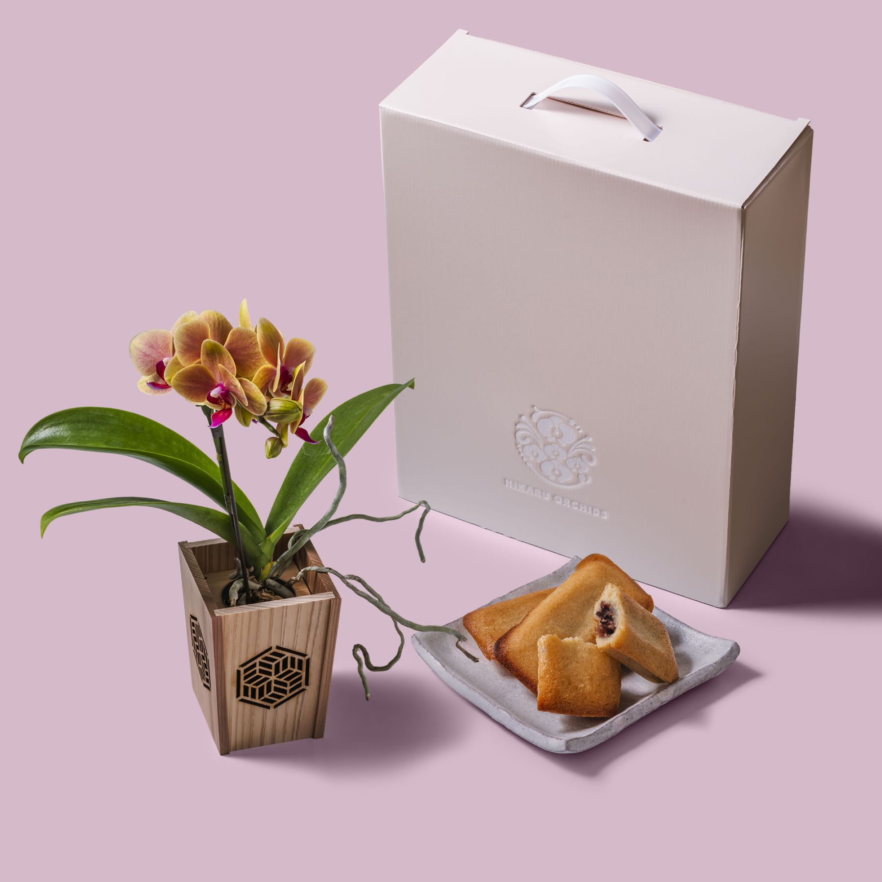 オレンジ 小輪 胡蝶蘭 / マル西製菓ぺんぎん一番堂 焼き菓子セット / NENE 組子細工風 組亀甲（くみきっこう）[002763]