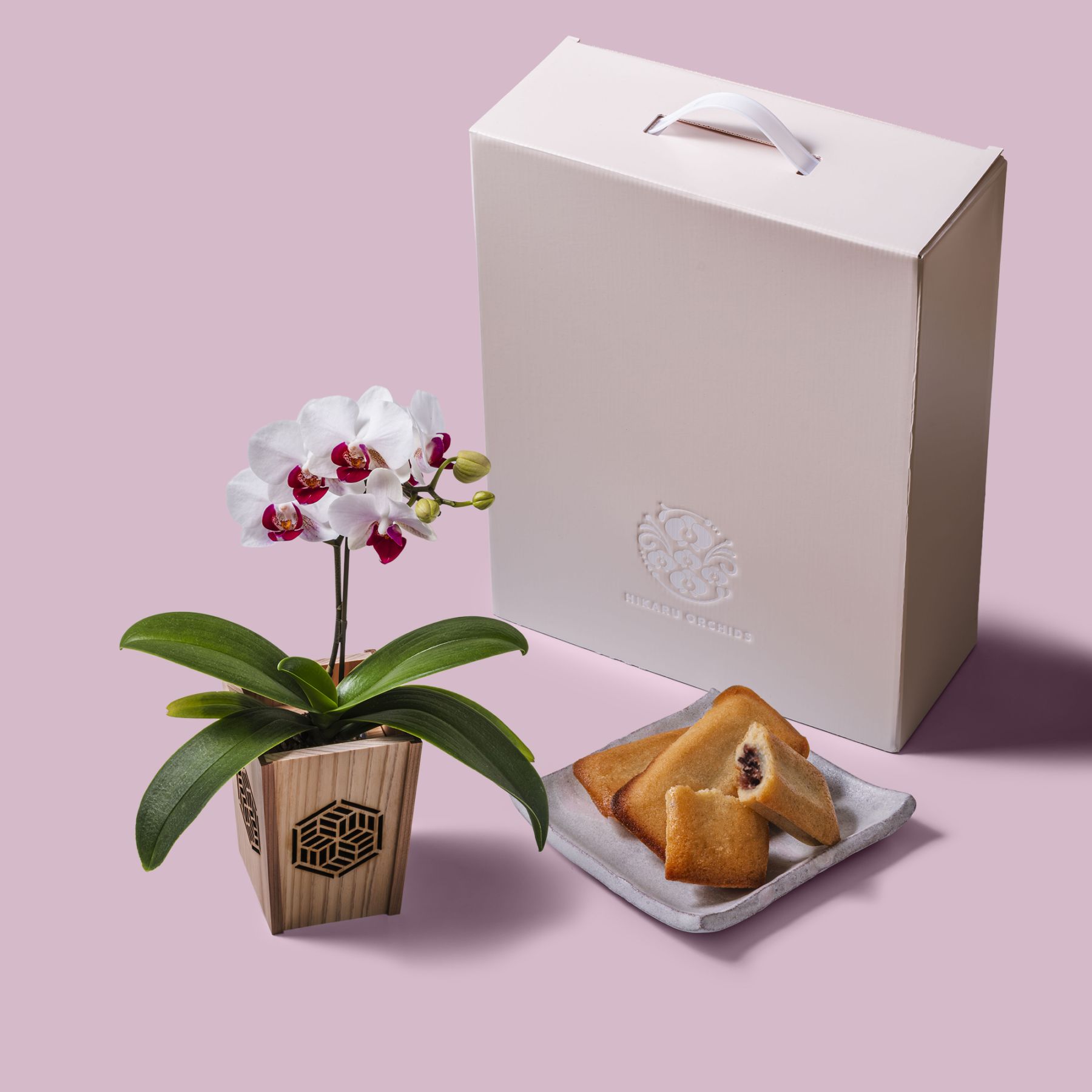 白赤 小輪 胡蝶蘭 / マル西製菓ぺんぎん一番堂 焼き菓子セット / NENE 組子細工風 組亀甲（くみきっこう）[002764]