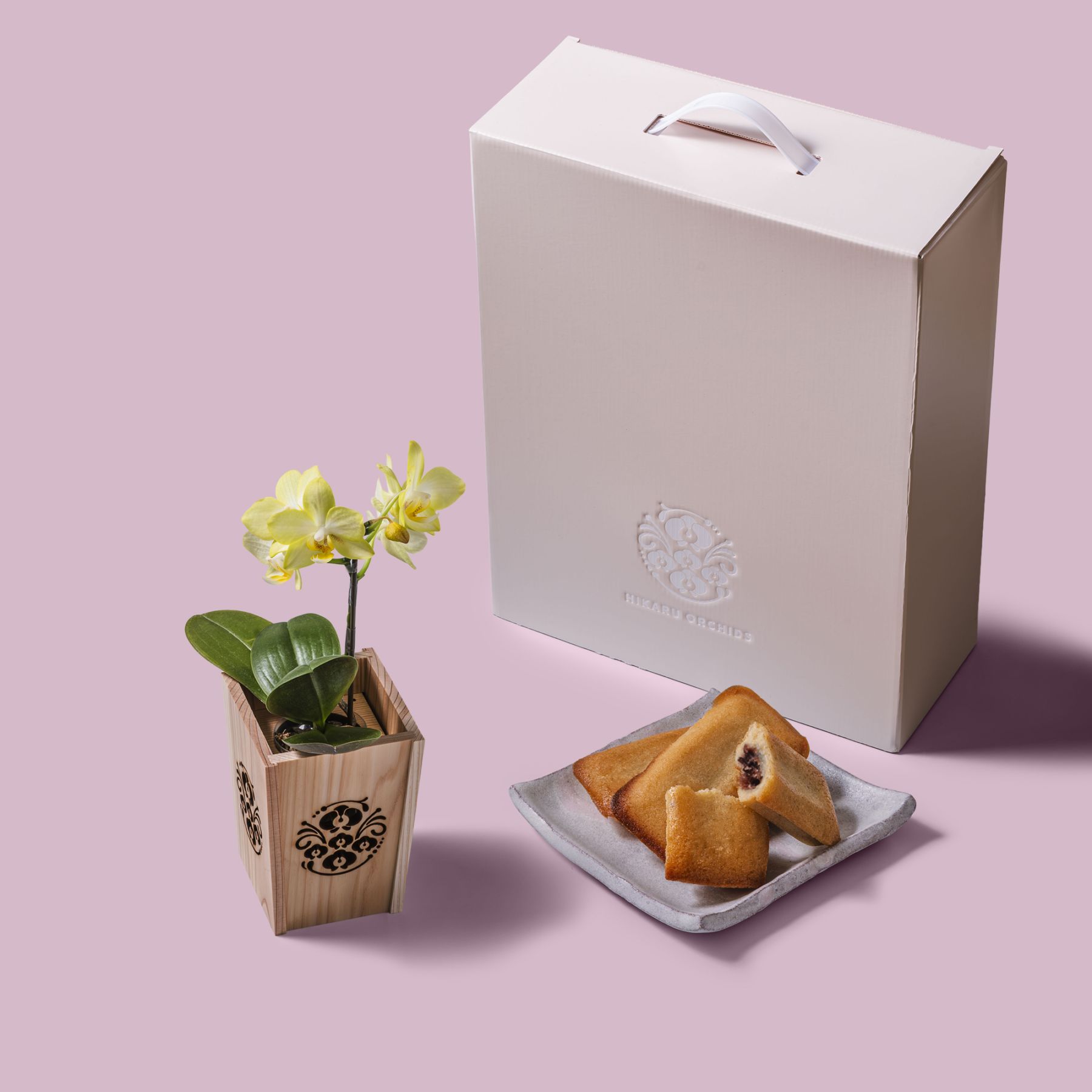 黄 小輪 胡蝶蘭 / マル西製菓ぺんぎん一番堂 焼き菓子セット / NENE 組子細工風 胡蝶蘭（こちょうらん）[002772]