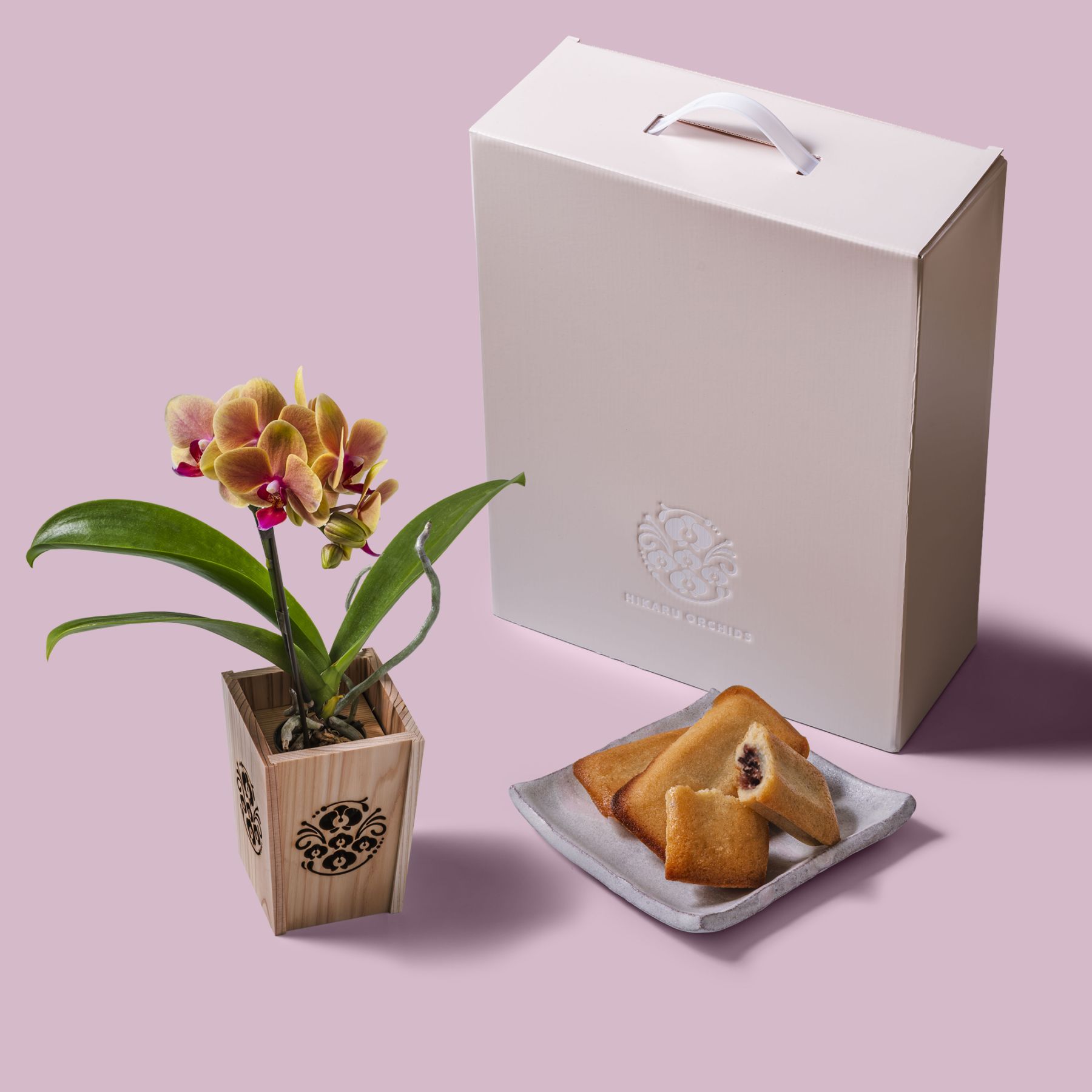 オレンジ 小輪 胡蝶蘭 / マル西製菓ぺんぎん一番堂 焼き菓子セット / NENE 組子細工風 胡蝶蘭（こちょうらん）[002773]