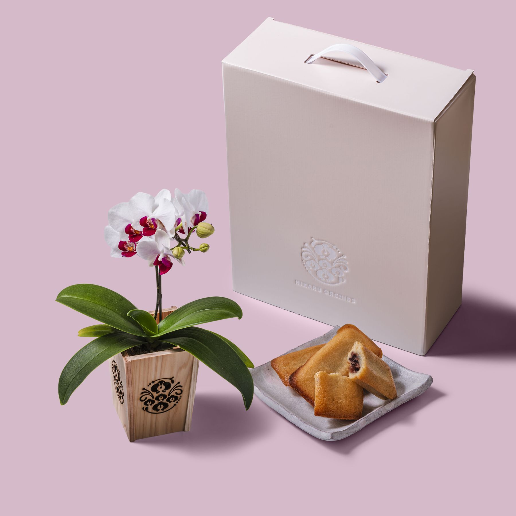 白赤 小輪 胡蝶蘭 / マル西製菓ぺんぎん一番堂 焼き菓子セット / NENE 組子細工風 胡蝶蘭（こちょうらん）[002774]