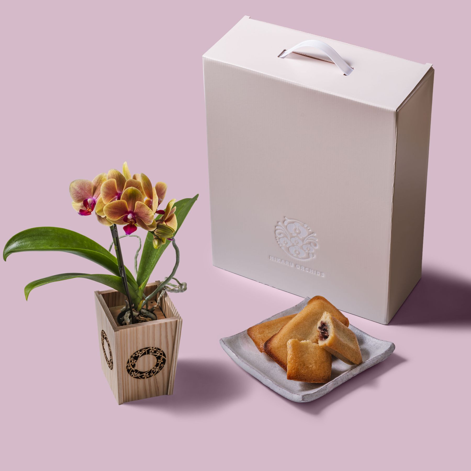 オレンジ 小輪 胡蝶蘭 / マル西製菓ぺんぎん一番堂 焼き菓子セット / NENE 組子細工風 桜輪（さくらわ）[002783]