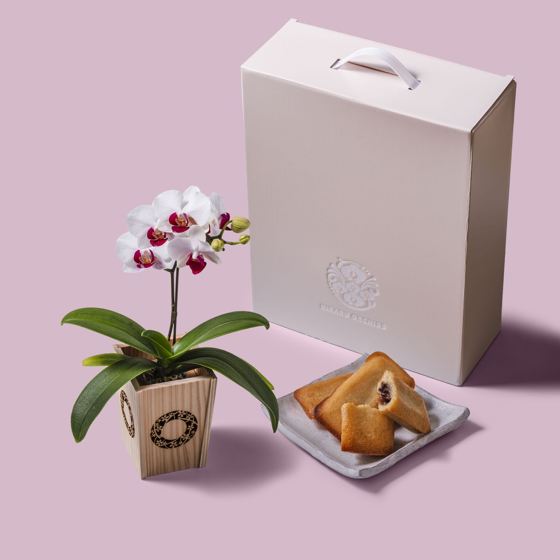 白赤 小輪 胡蝶蘭 / マル西製菓ぺんぎん一番堂 焼き菓子セット / NENE 組子細工風 桜輪（さくらわ）[002784]