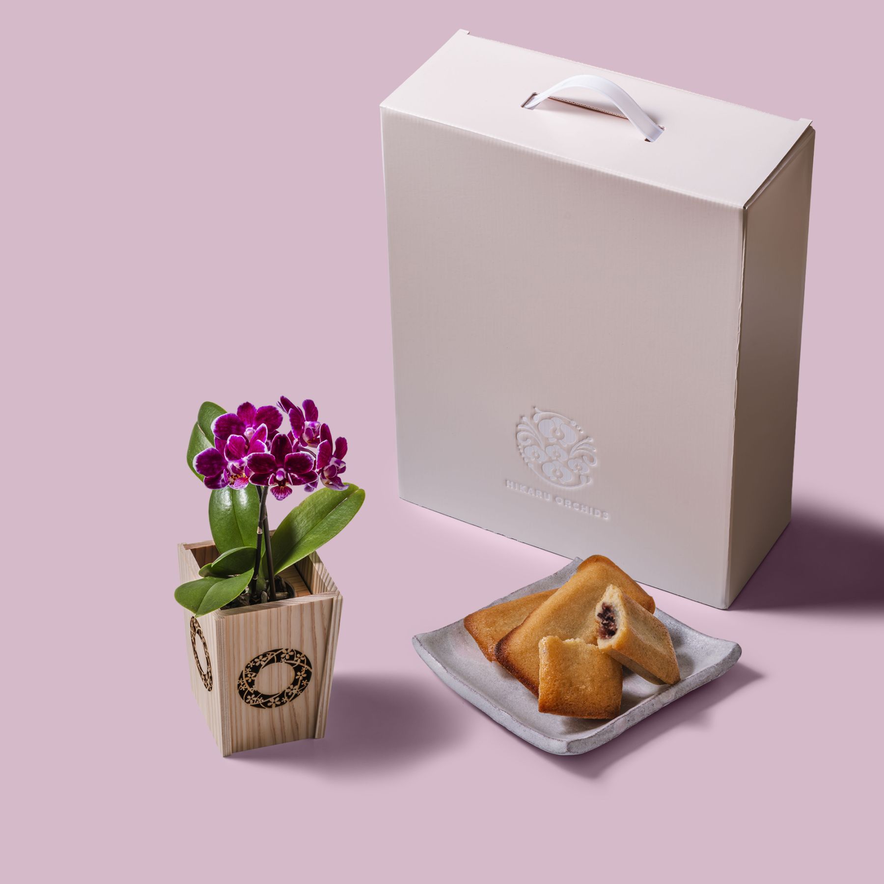紫 小輪 胡蝶蘭 / マル西製菓ぺんぎん一番堂 焼き菓子セット / NENE 組子細工風 桜輪（さくらわ）[002785]