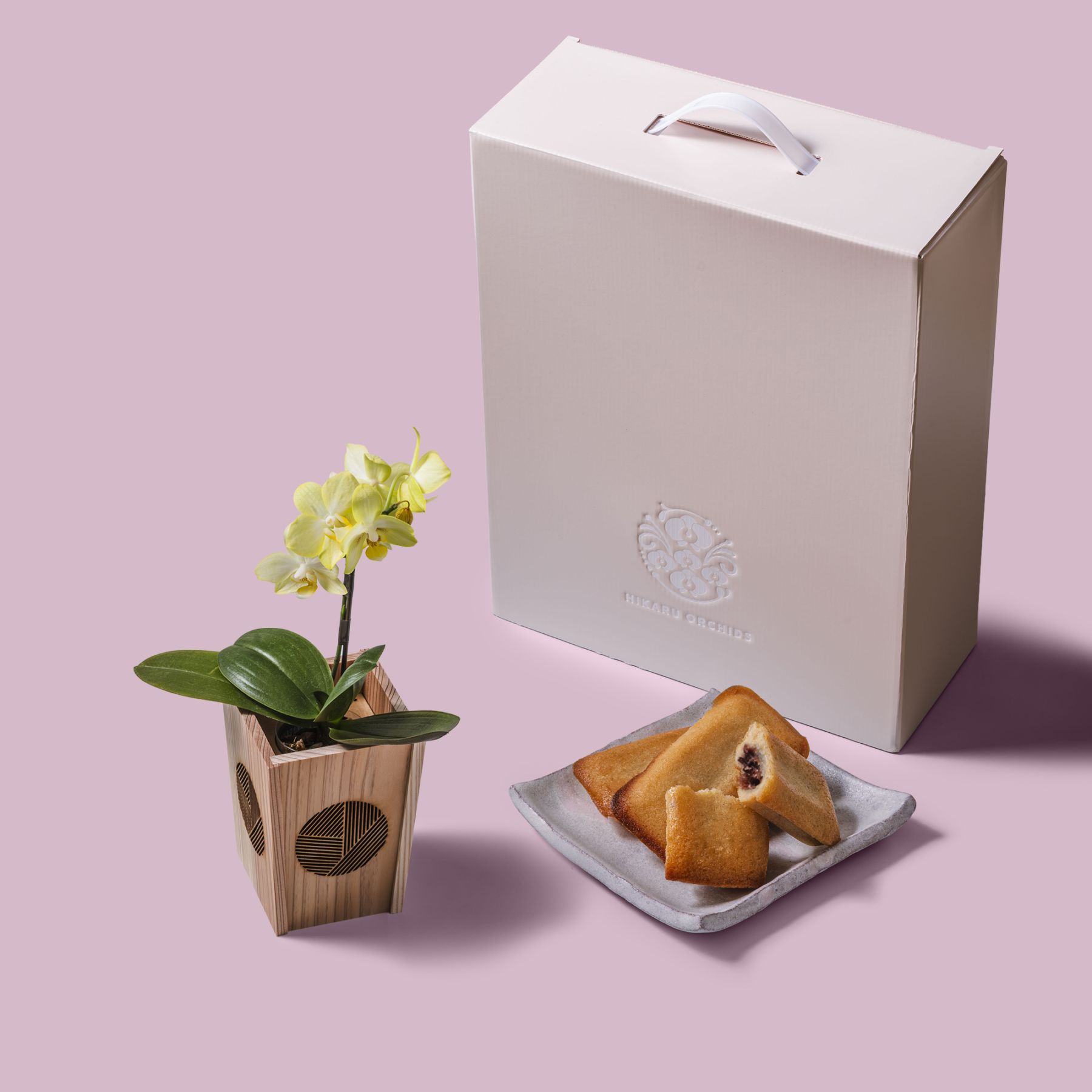 黄 小輪 胡蝶蘭 / マル西製菓ぺんぎん一番堂 焼き菓子セット / NENE 組子細工風 三崩し（さんくずし）[002792]
