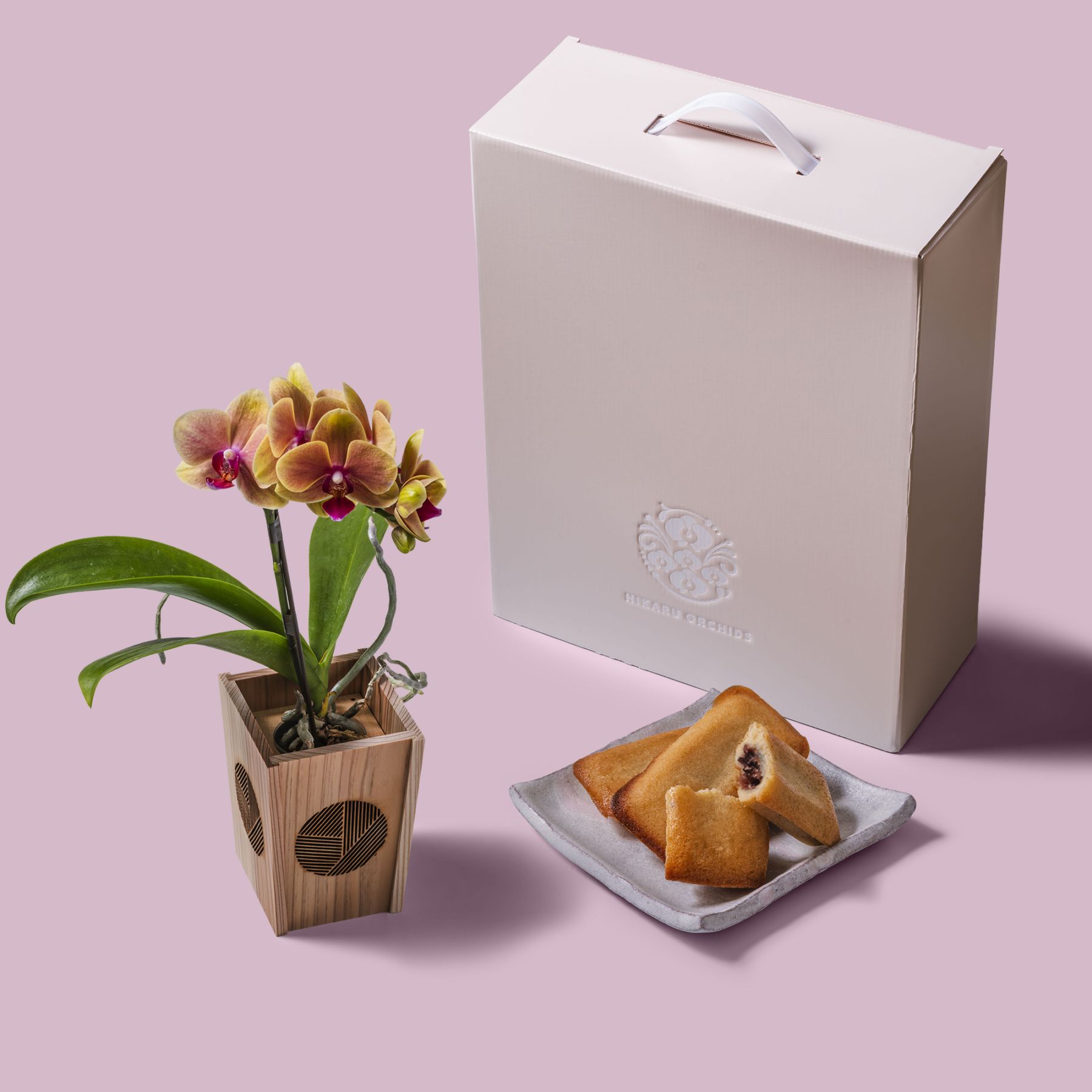 オレンジ 小輪 胡蝶蘭 / マル西製菓ぺんぎん一番堂 焼き菓子セット / NENE 組子細工風 三崩し（さんくずし）[002793]