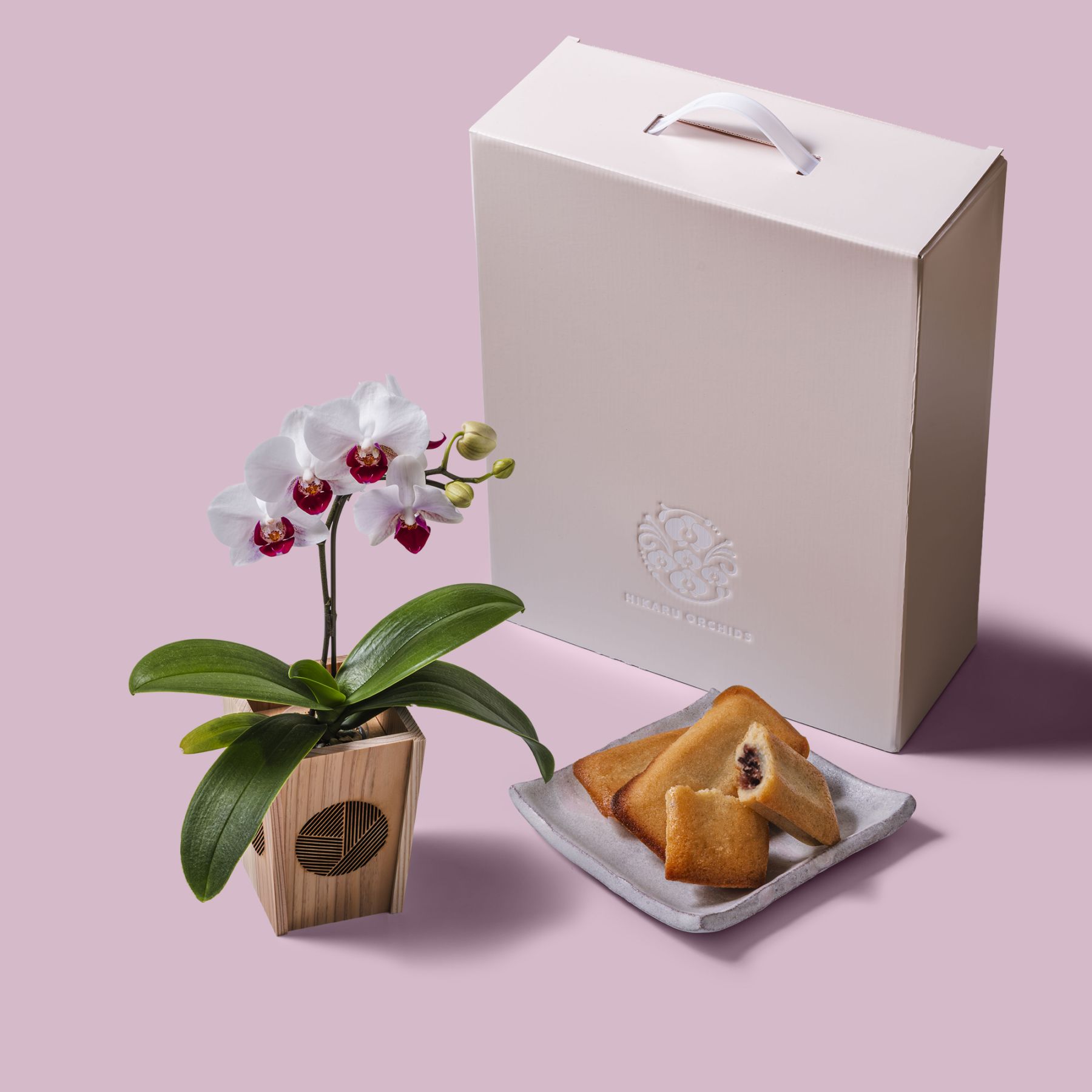 白赤 小輪 胡蝶蘭 / マル西製菓ぺんぎん一番堂 焼き菓子セット / NENE 組子細工風 三崩し（さんくずし）[002794]