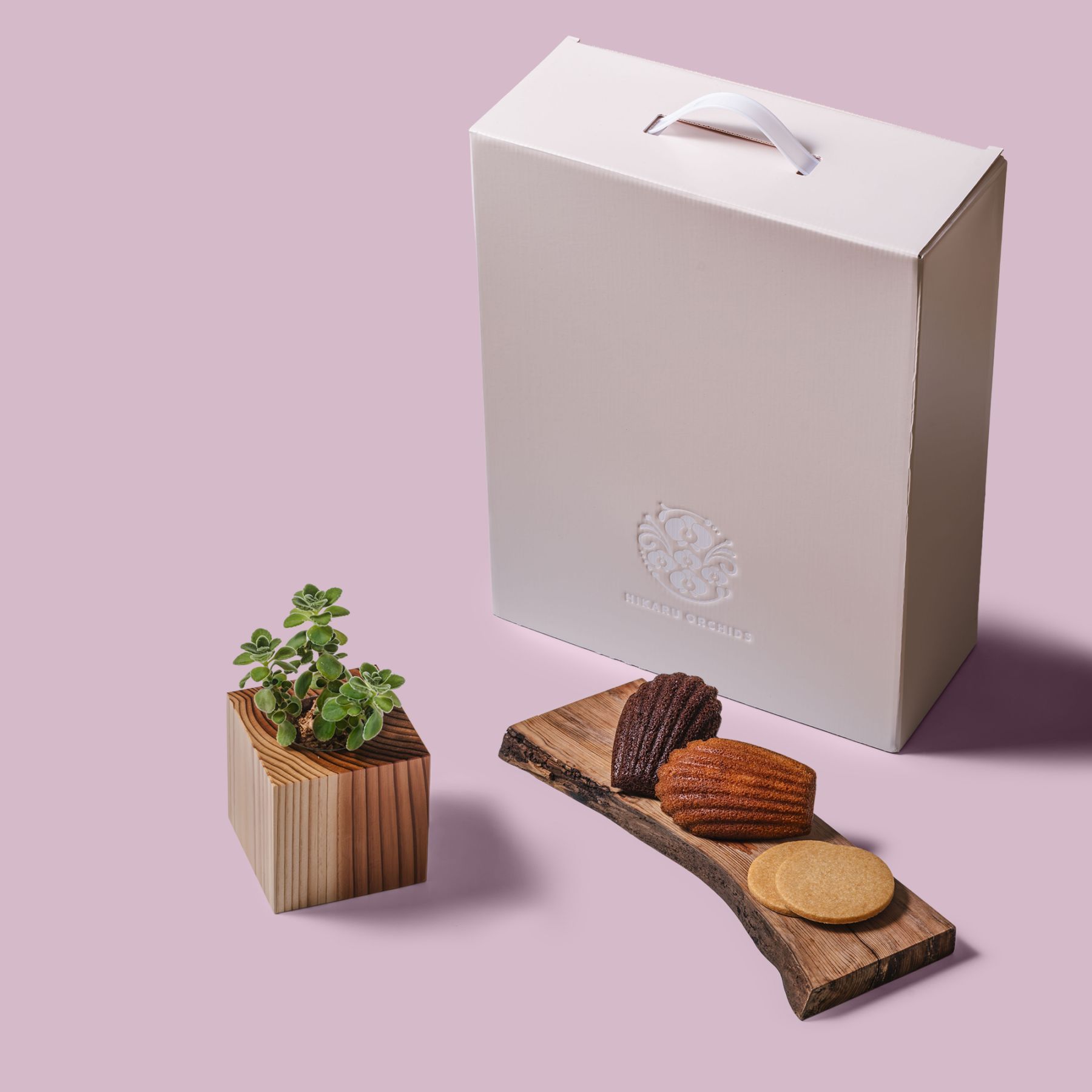 アロマティカス / 土不使用の観葉植物 / Gallery SIGMA. 焼き菓子セット / GREEN CUBE SWEETS（グリーンキューブスイーツ） [002005]