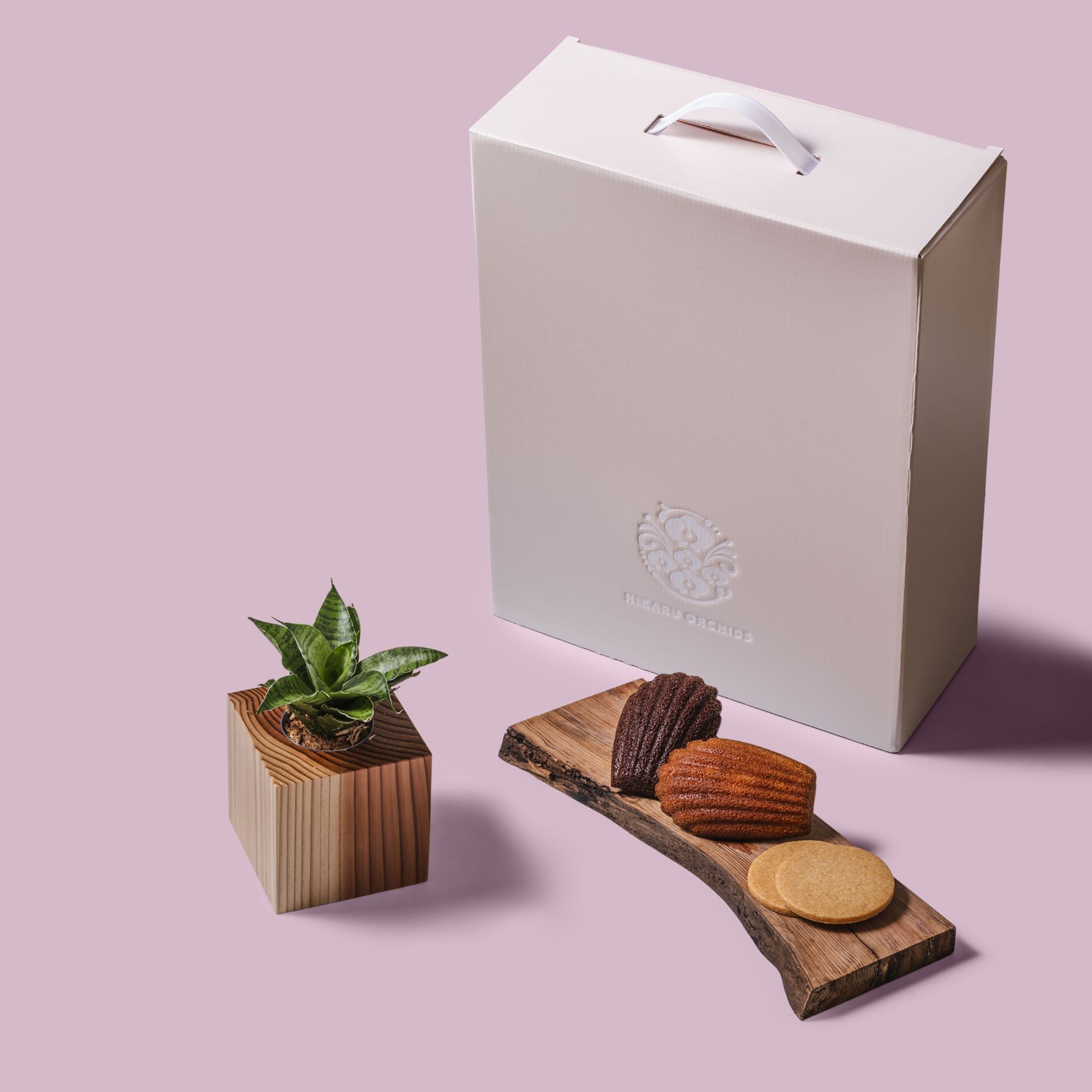 サンスベリア・ハニー / 土不使用の観葉植物 / Gallery SIGMA. 焼き菓子セット / GREEN CUBE SWEETS（グリーンキューブスイーツ） [002021]