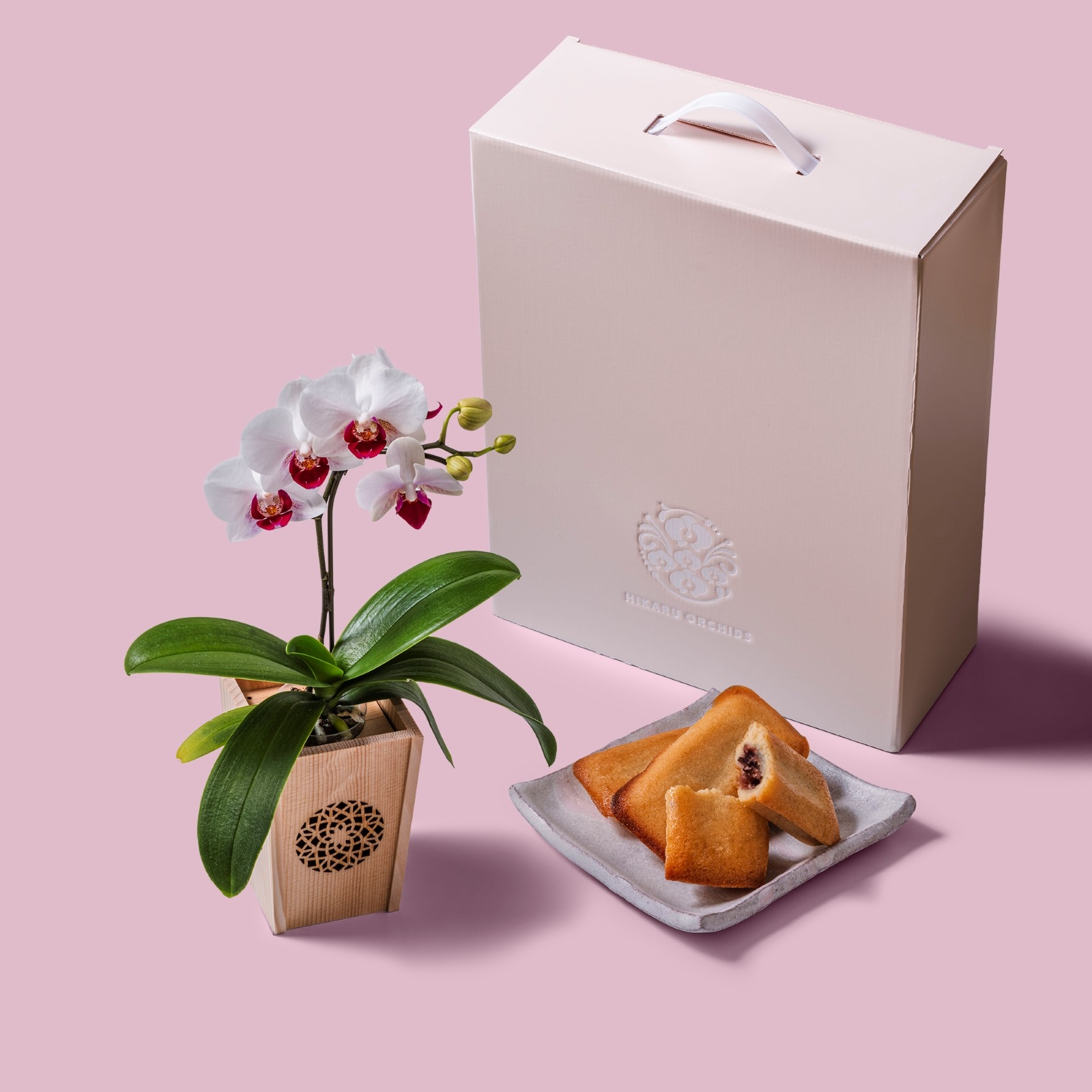 白赤 小輪 胡蝶蘭 / マル西製菓ぺんぎん一番堂 焼き菓子セット / NENE 組子細工風 変わり七宝（かわりしっぽう）[002744]