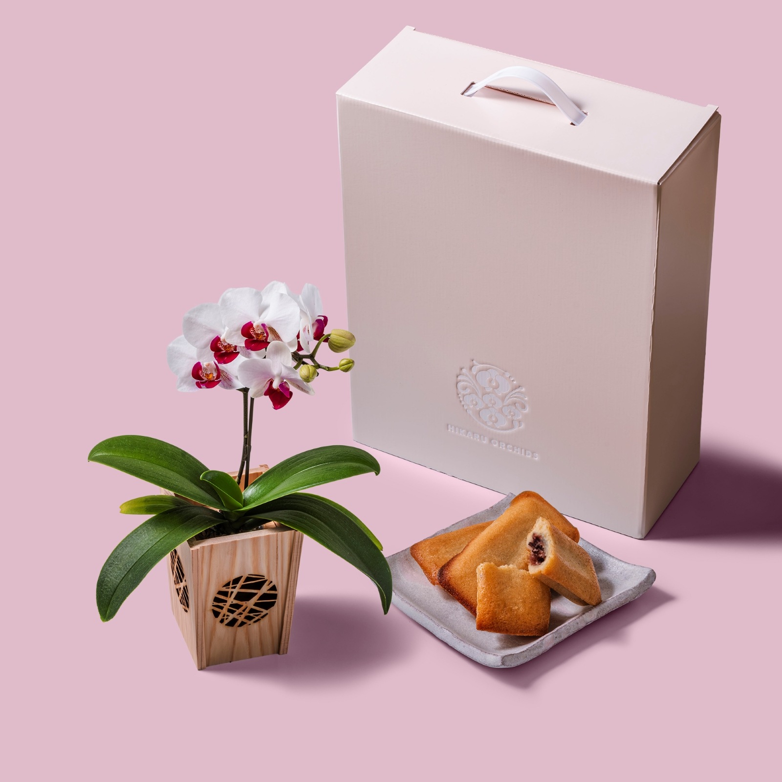 白赤 小輪 胡蝶蘭 / マル西製菓ぺんぎん一番堂 焼き菓子セット / NENE 組子細工風 氷裂（ひょうれつ）[002754]