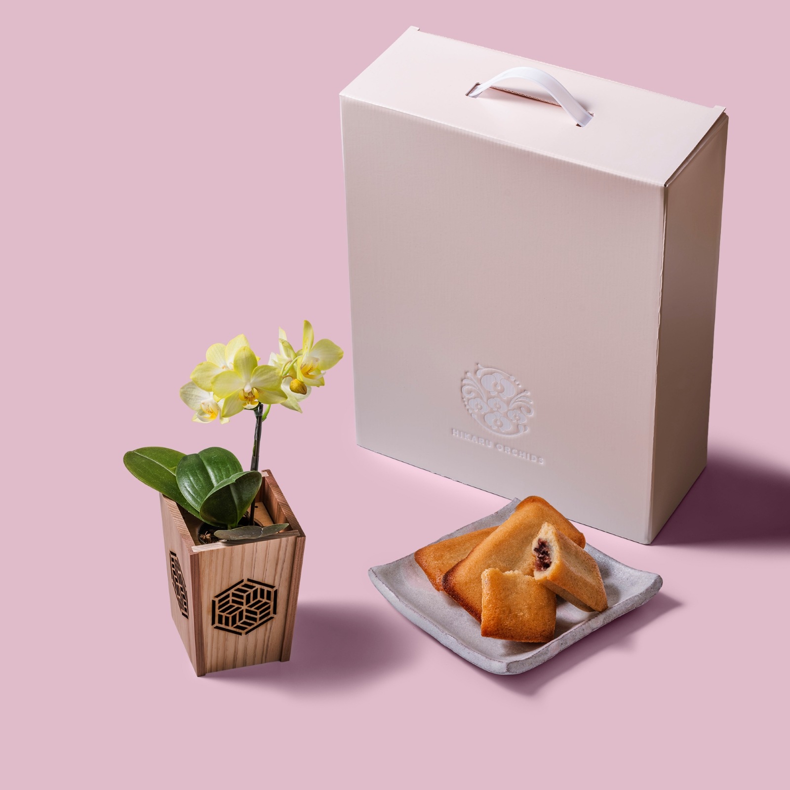 黄 小輪 胡蝶蘭 / マル西製菓ぺんぎん一番堂 焼き菓子セット / NENE 組子細工風 組亀甲（くみきっこう）[002762]