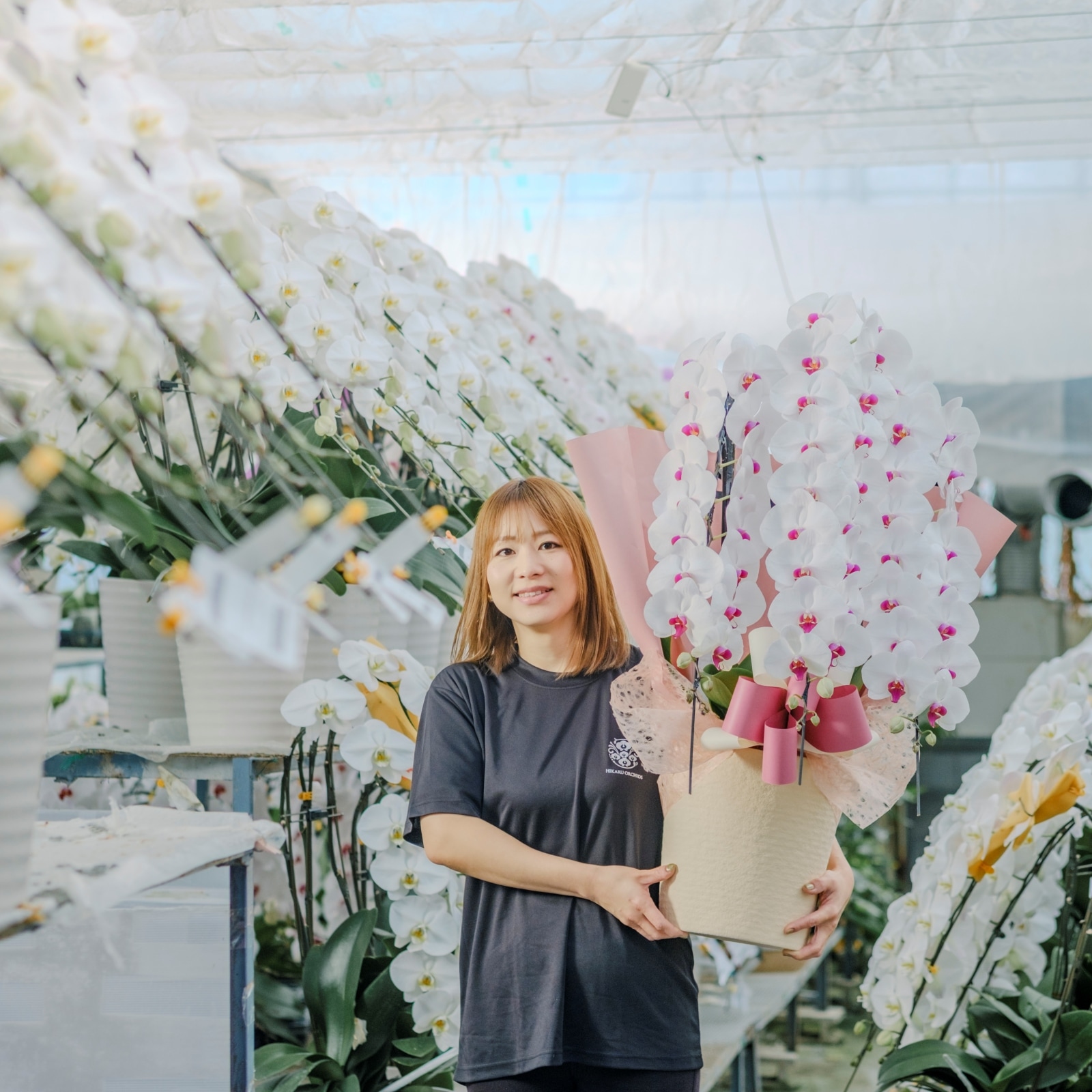 赤リップ胡蝶蘭 3本立ち42輪以上  [000306]　