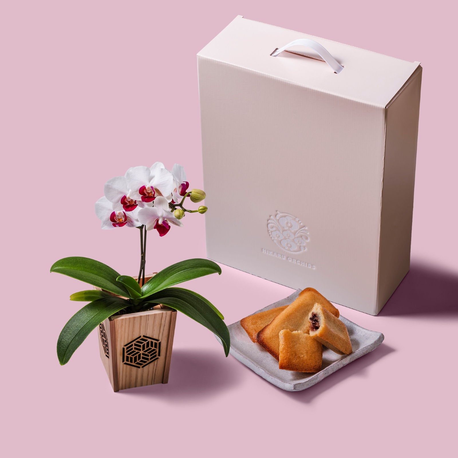 白赤 小輪 胡蝶蘭 / マル西製菓ぺんぎん一番堂 焼き菓子セット / NENE 組子細工風 組亀甲（くみきっこう）[002764]