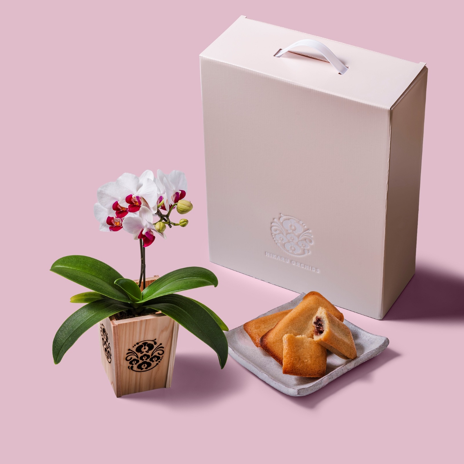 白赤 小輪 胡蝶蘭 / マル西製菓ぺんぎん一番堂 焼き菓子セット / NENE 組子細工風 胡蝶蘭（こちょうらん）[002774]