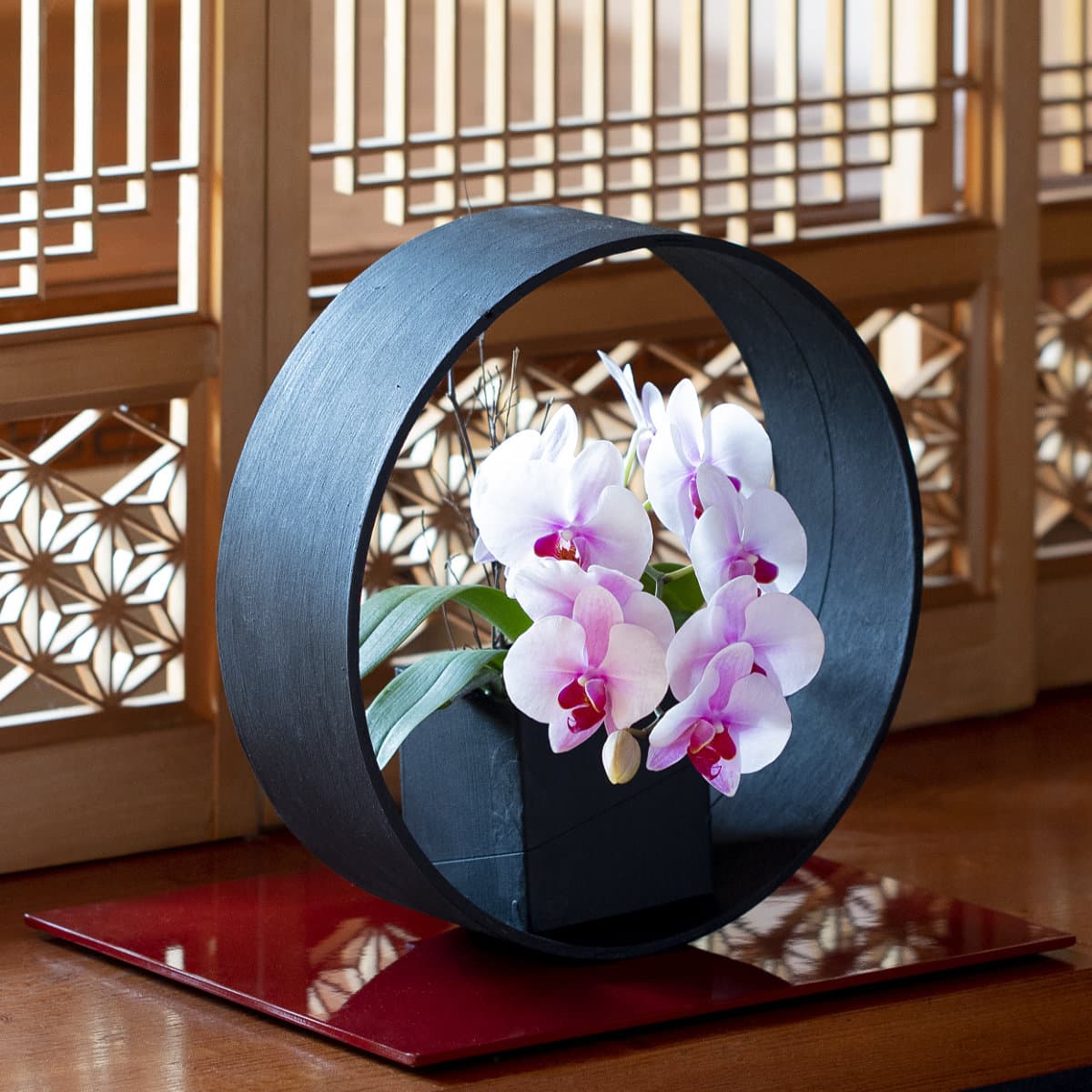 ピンク胡蝶蘭（サクラヒメ）ショートタイプ / 備長炭塗り卓上リングオブジェ [212]