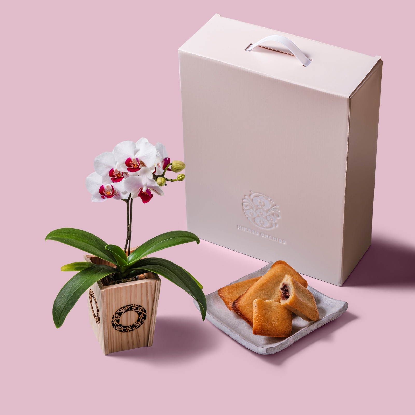 白赤 小輪 胡蝶蘭 / マル西製菓ぺんぎん一番堂 焼き菓子セット / NENE 組子細工風 桜輪（さくらわ）[002784]