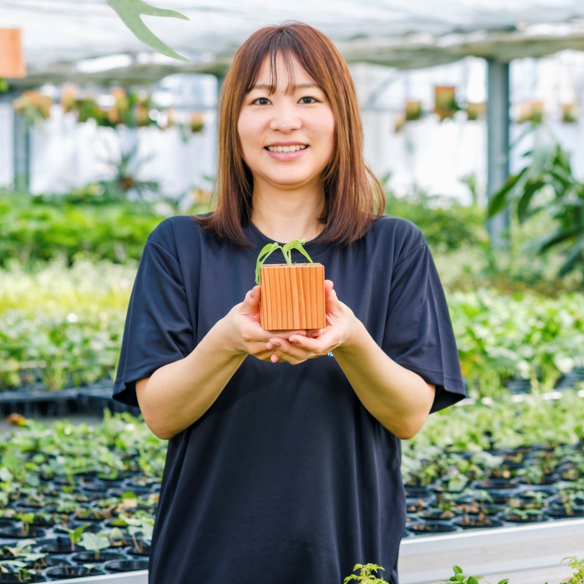 マドカズラ / 土不使用の観葉植物 / GREEN CUBE [001008]