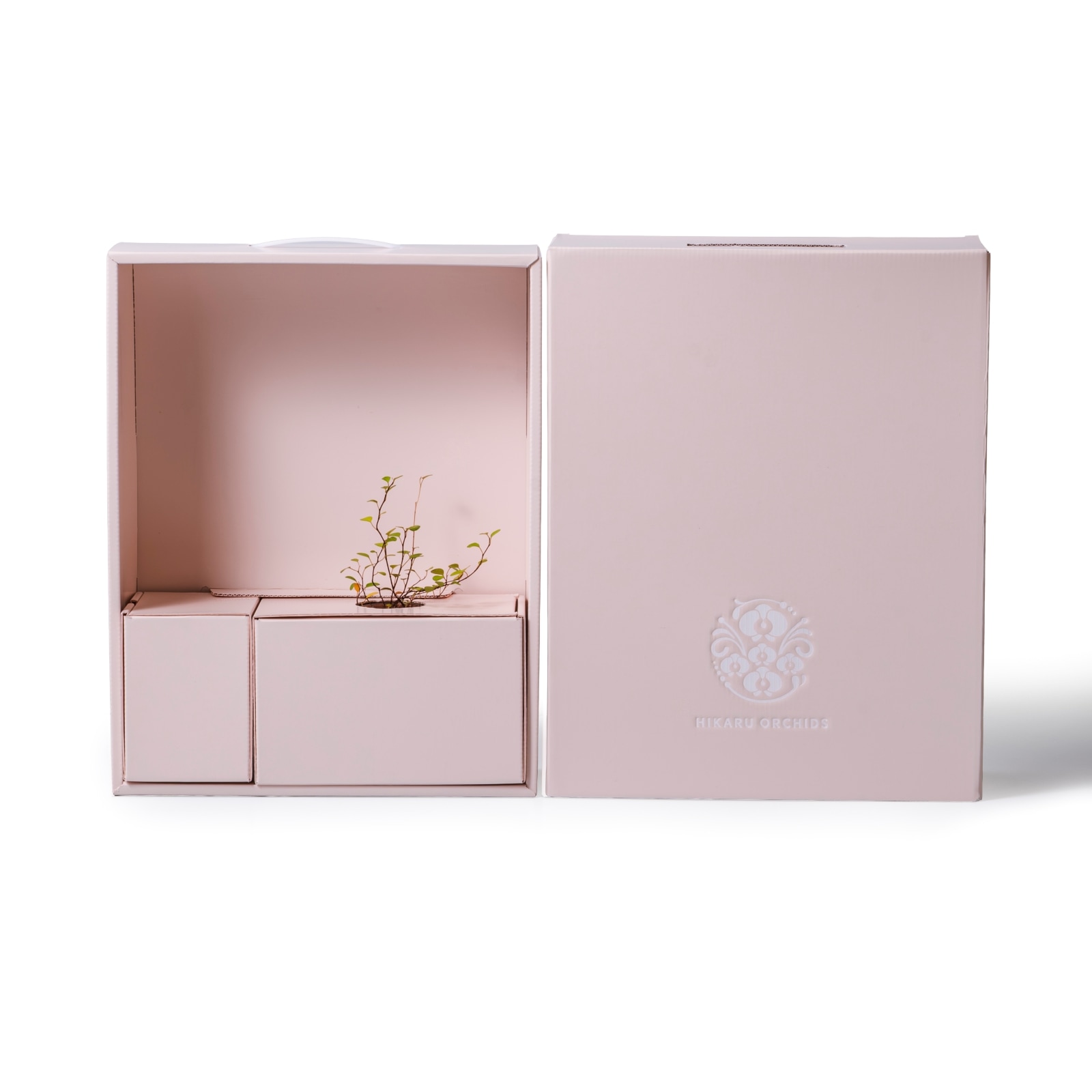 ワイヤープランツ / 土不使用の観葉植物 / GREEN CUBE [001009]