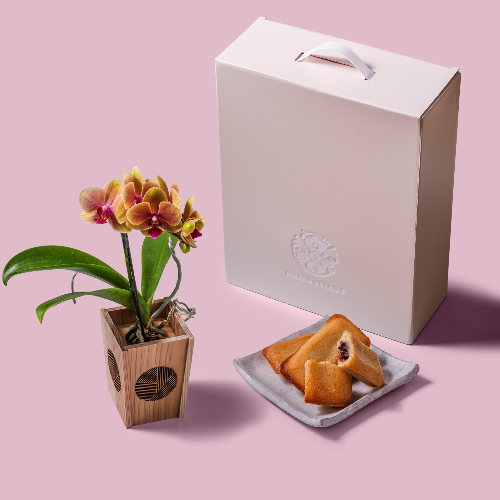 オレンジ 小輪 胡蝶蘭 / マル西製菓ぺんぎん一番堂 焼き菓子セット / NENE 組子細工風 三崩し（さんくずし）[002793]
