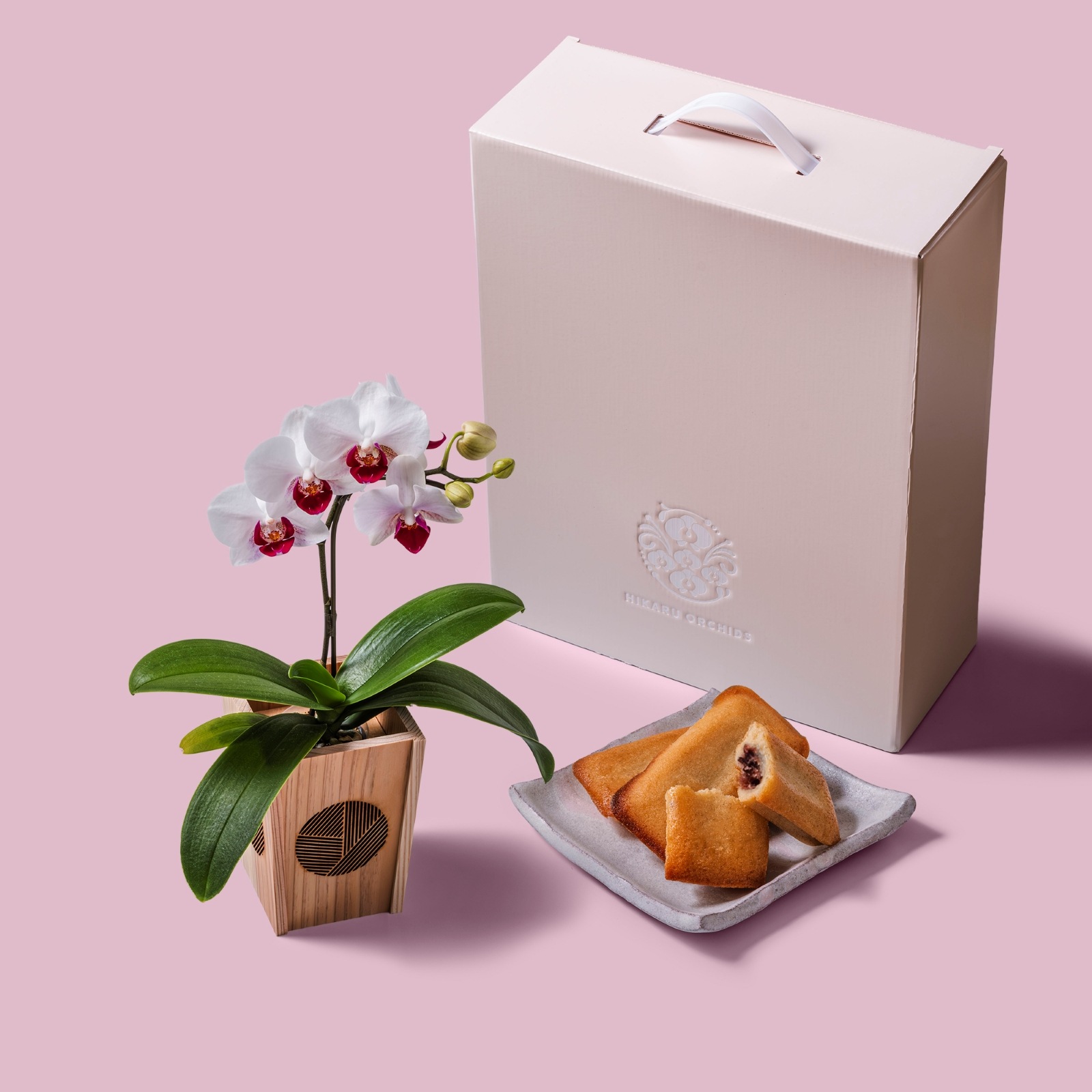 白赤 小輪 胡蝶蘭 / マル西製菓ぺんぎん一番堂 焼き菓子セット / NENE 組子細工風 三崩し（さんくずし）[002794]